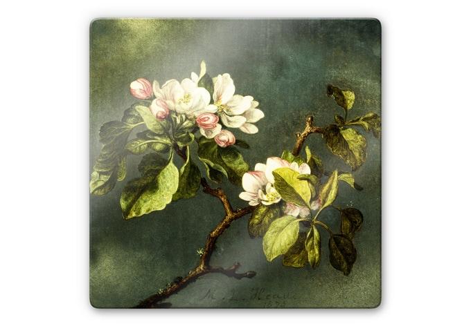 Glasschilderij Heade - Apple Blossoms