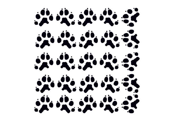 Muursticker Kattenpootjes