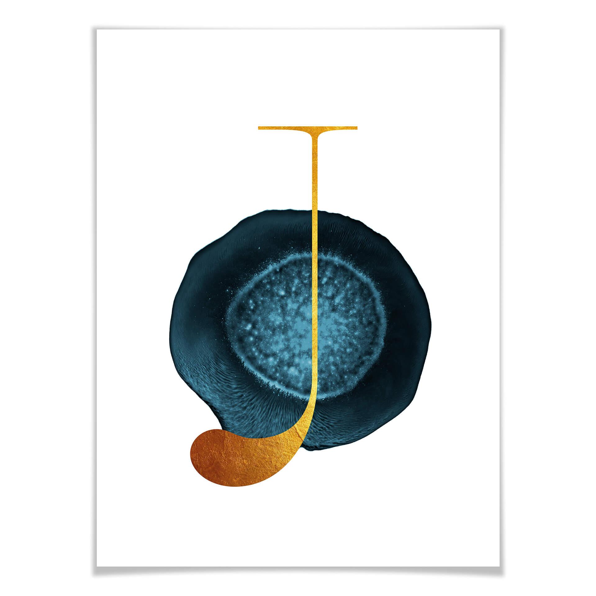 Póster - La J de oro