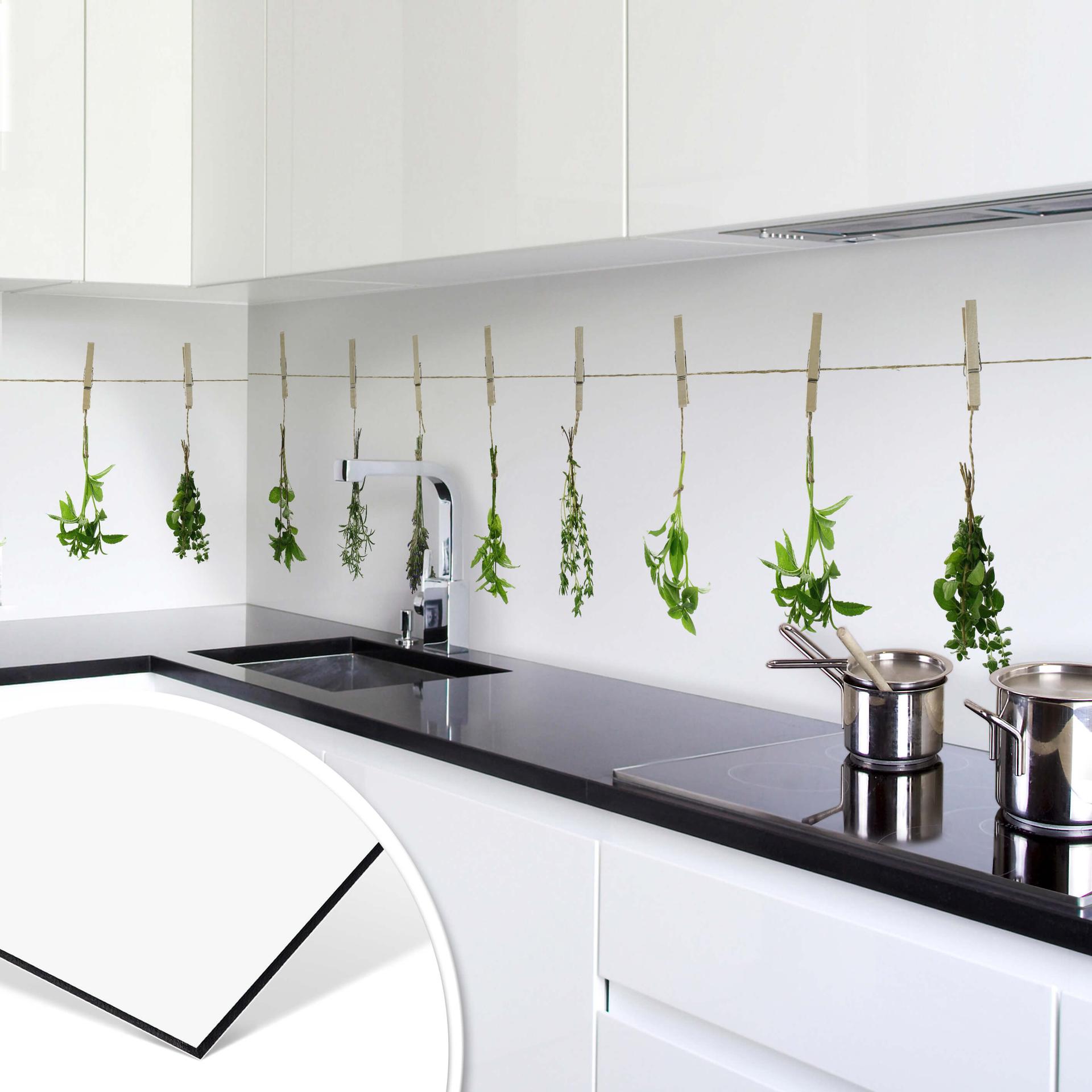 Revêtement pour cuisine - Alu-Dibond - Herbes