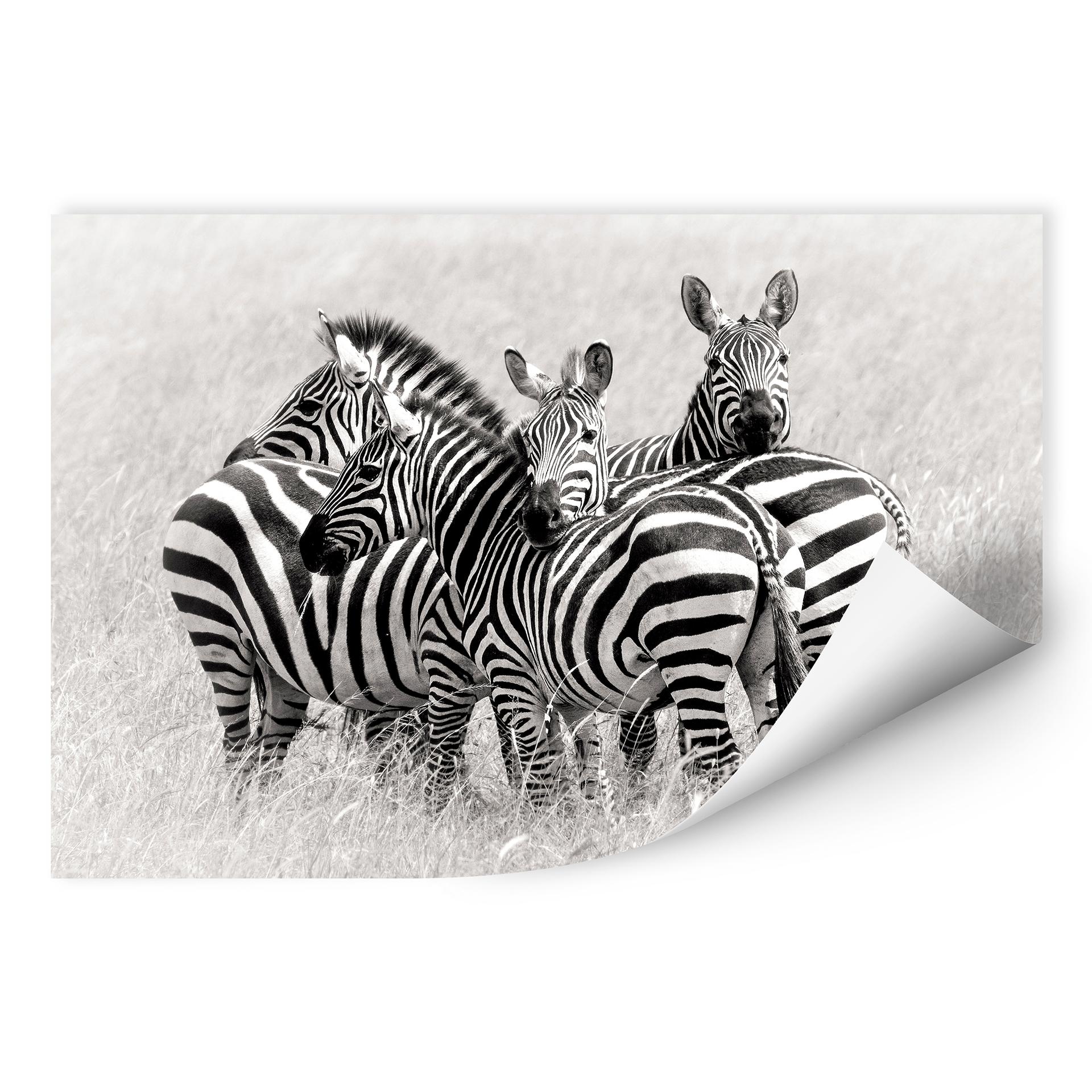 Zelfklevende Poster - Trubitsyn - Zebra's in de Savanne