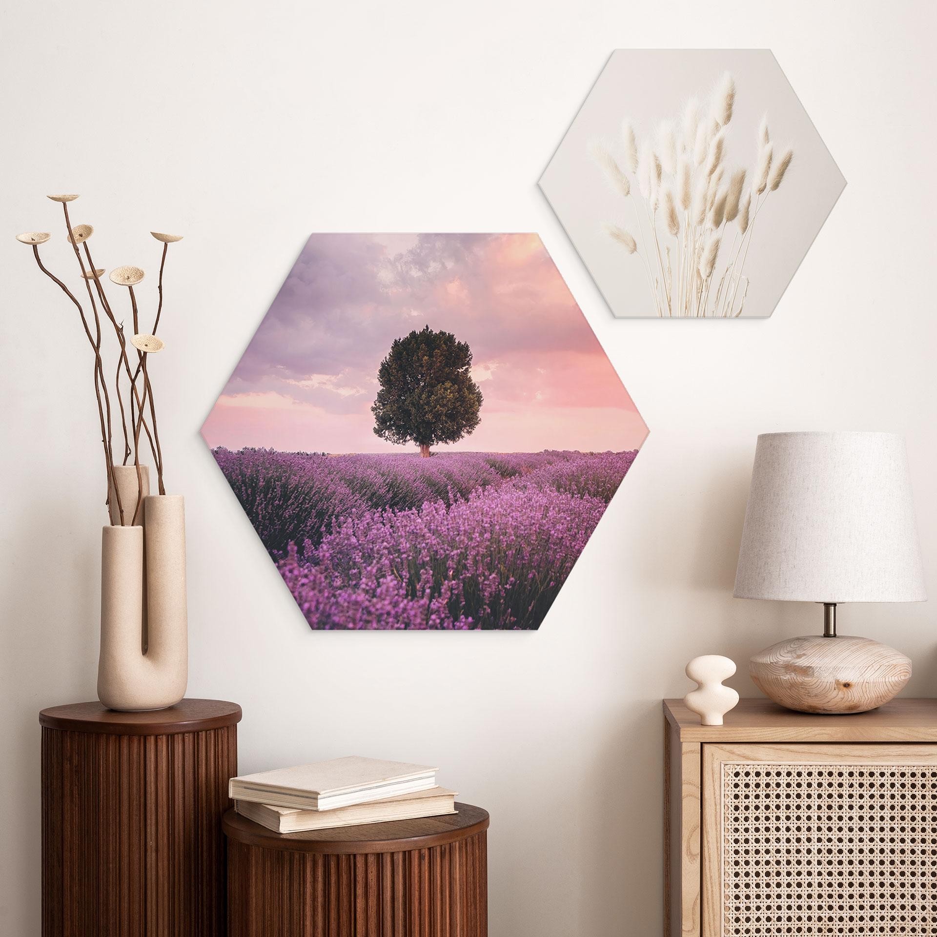 Hexagon Dibond Lilla lavendelmarker ved solnedgang - Cevik