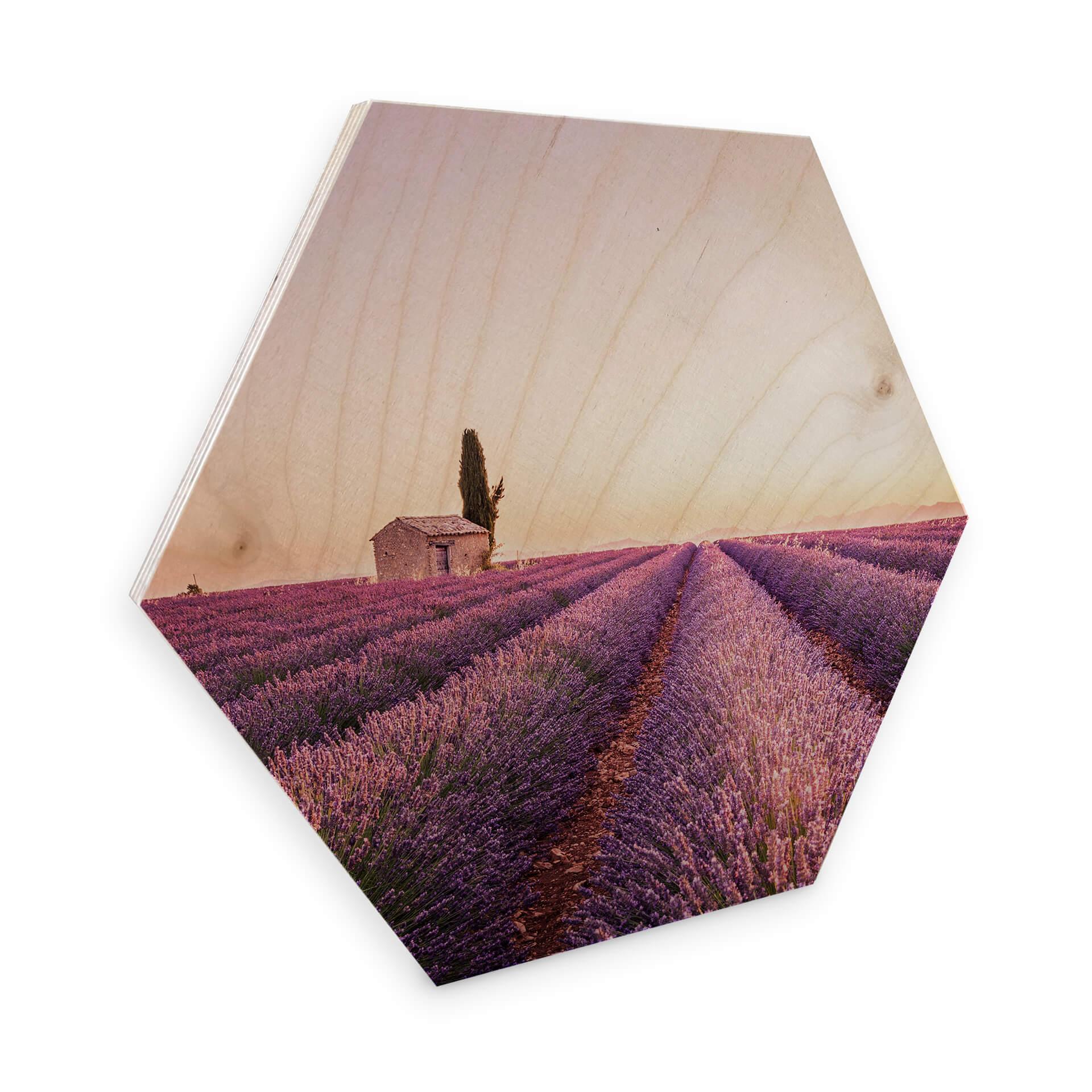 Hexagon - Birketræ - Lavendel