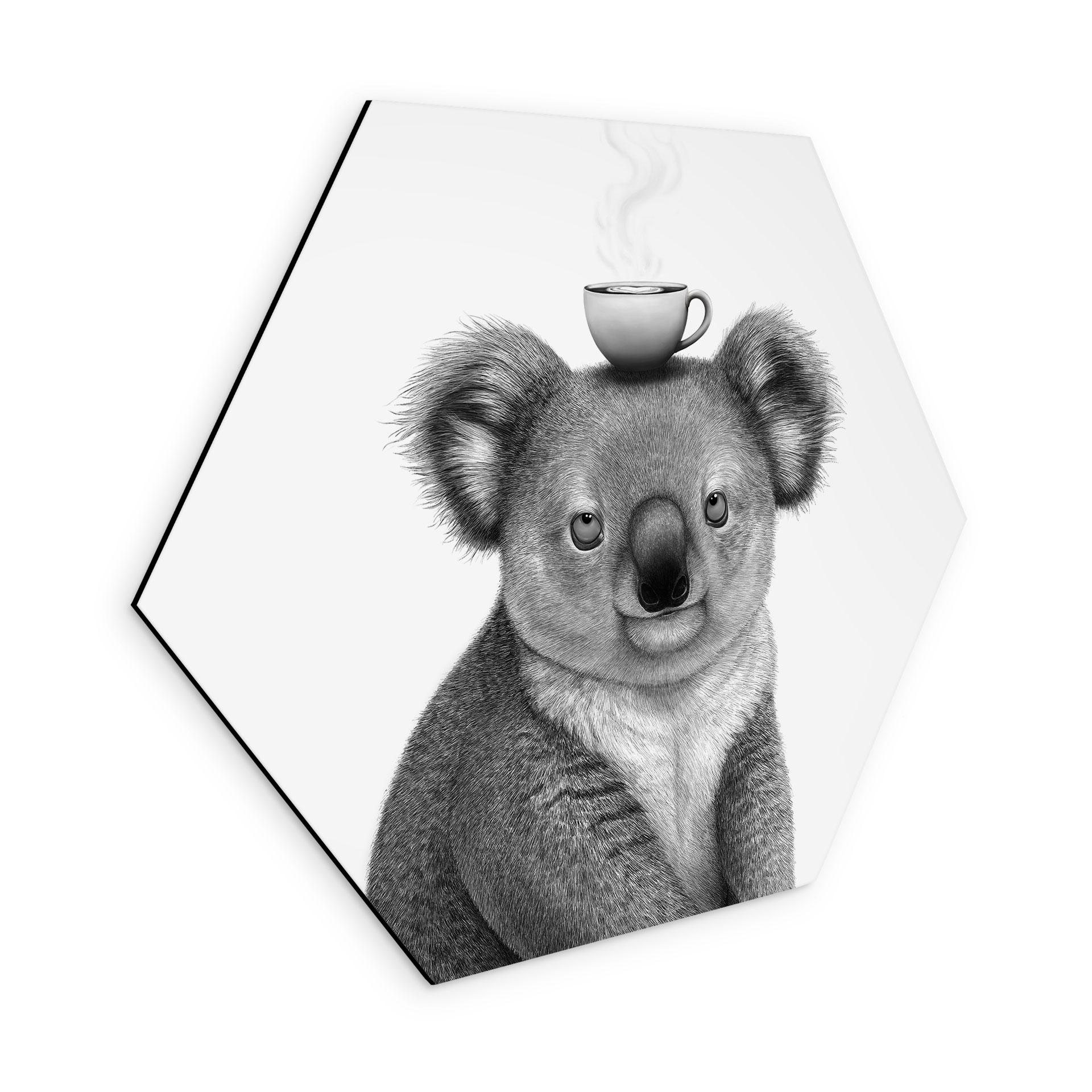 Hexagon Billede Koala med kaffe - Korenkova - Alu-Dibond