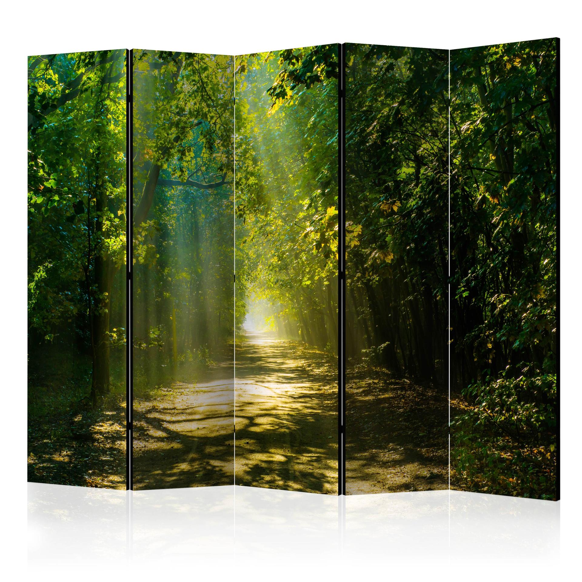 Schermo divisorio - Strada alla luce del sole, 3 pezzi
