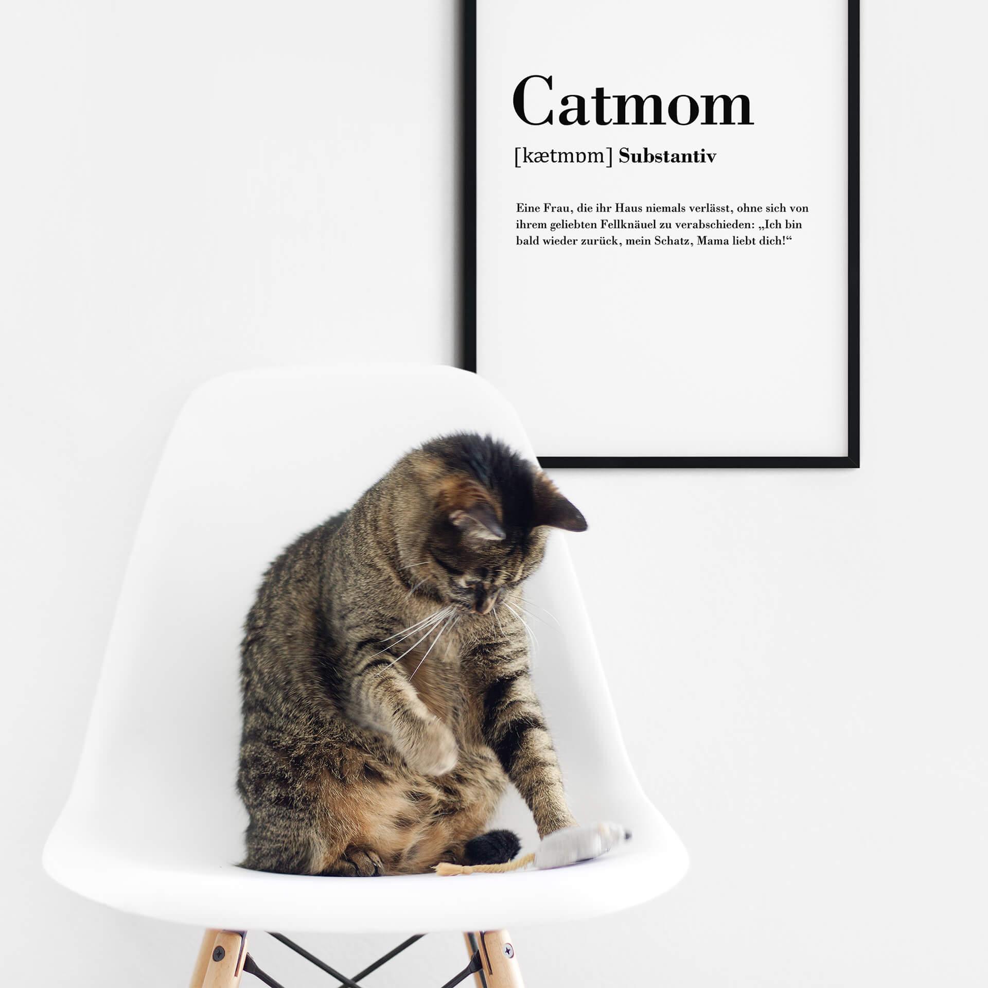 Poster Grammatik - Catmom