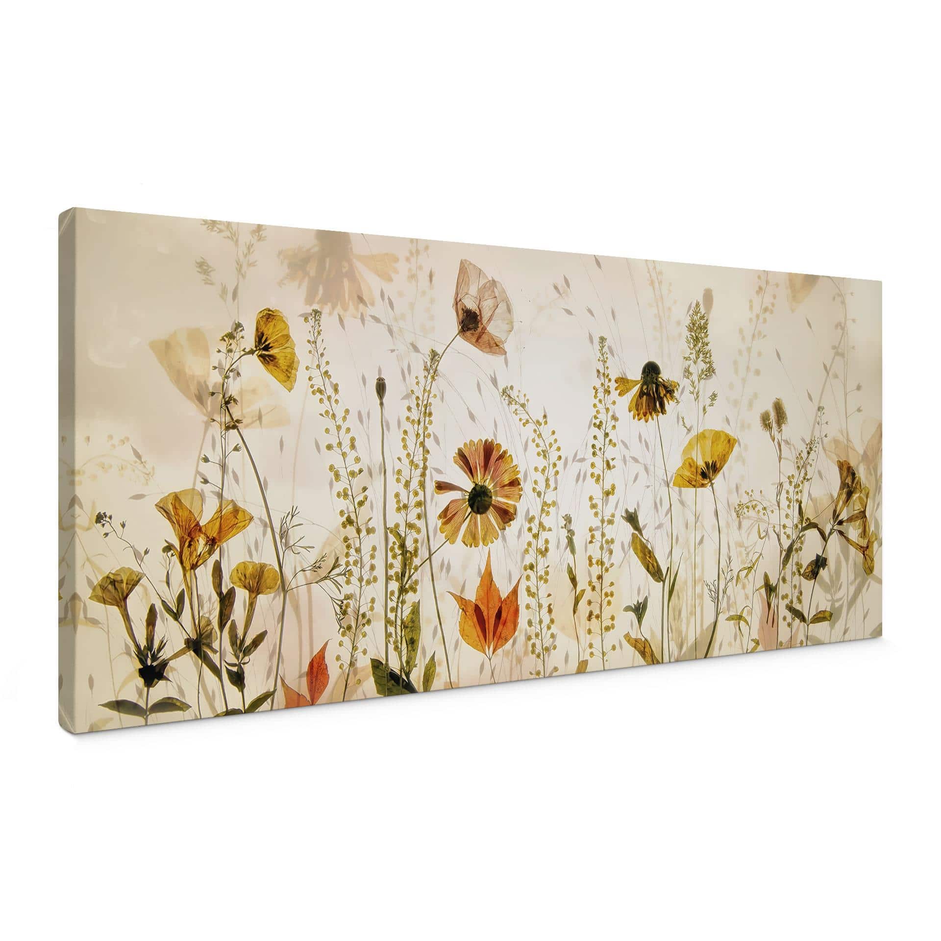 Canvasbillede Vilde engblomster i sollyset - Talen - Panorama