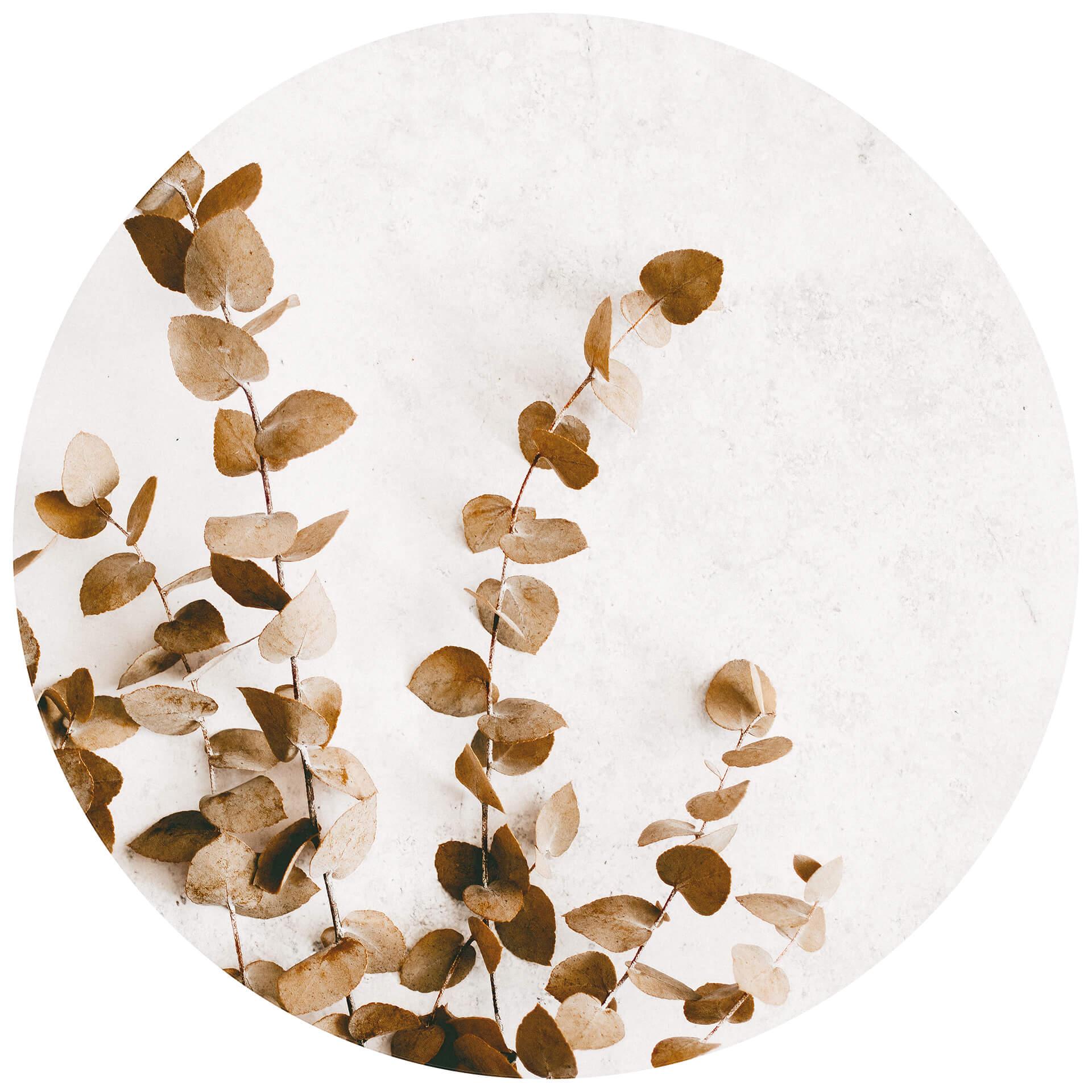 Behangcirkel Annie - Dried Leaves - vliesbehang/zelfklevend vliesbehang