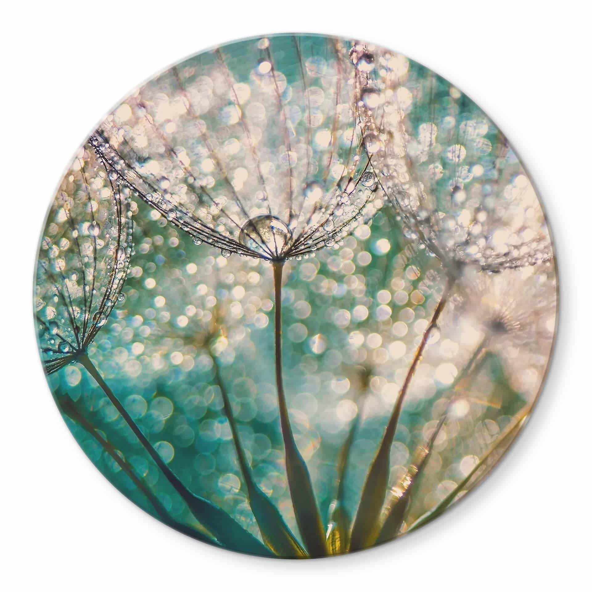 Tableau sur verre Delgado - Pissenlit scintillant - Rond
