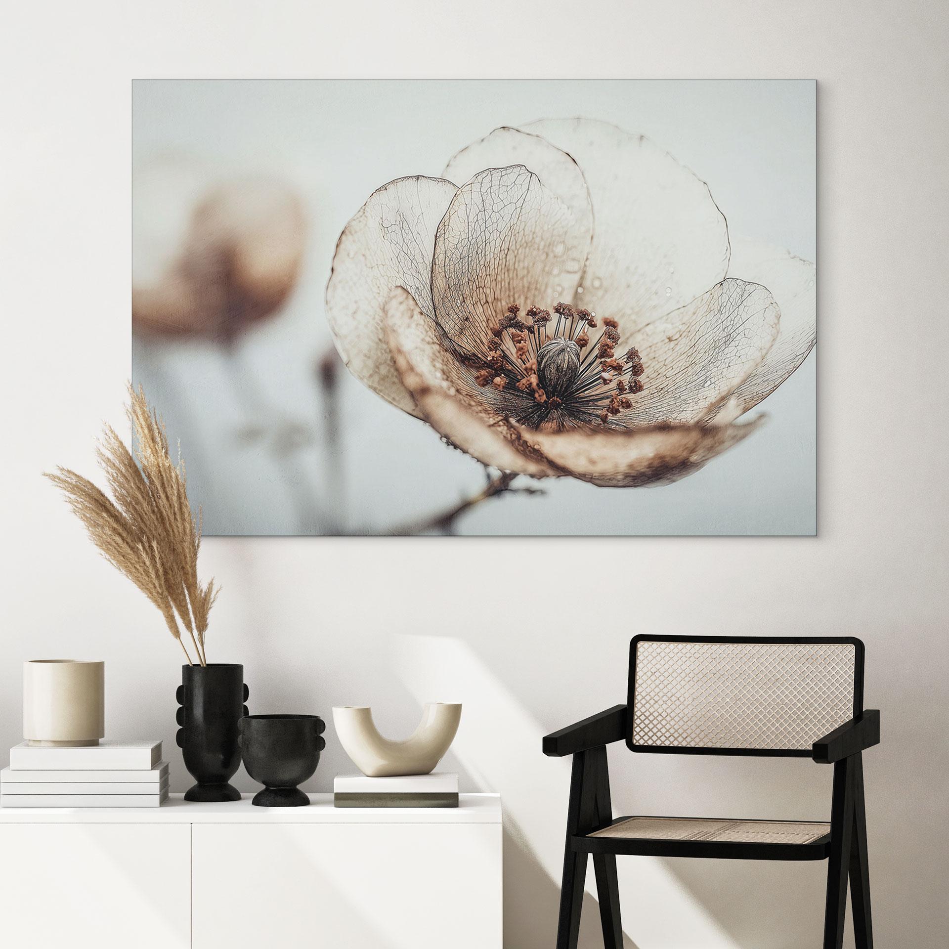 Billede af tørret blomst beige natur poesi - Treechild – print på aluminium (Alu-Dibond)