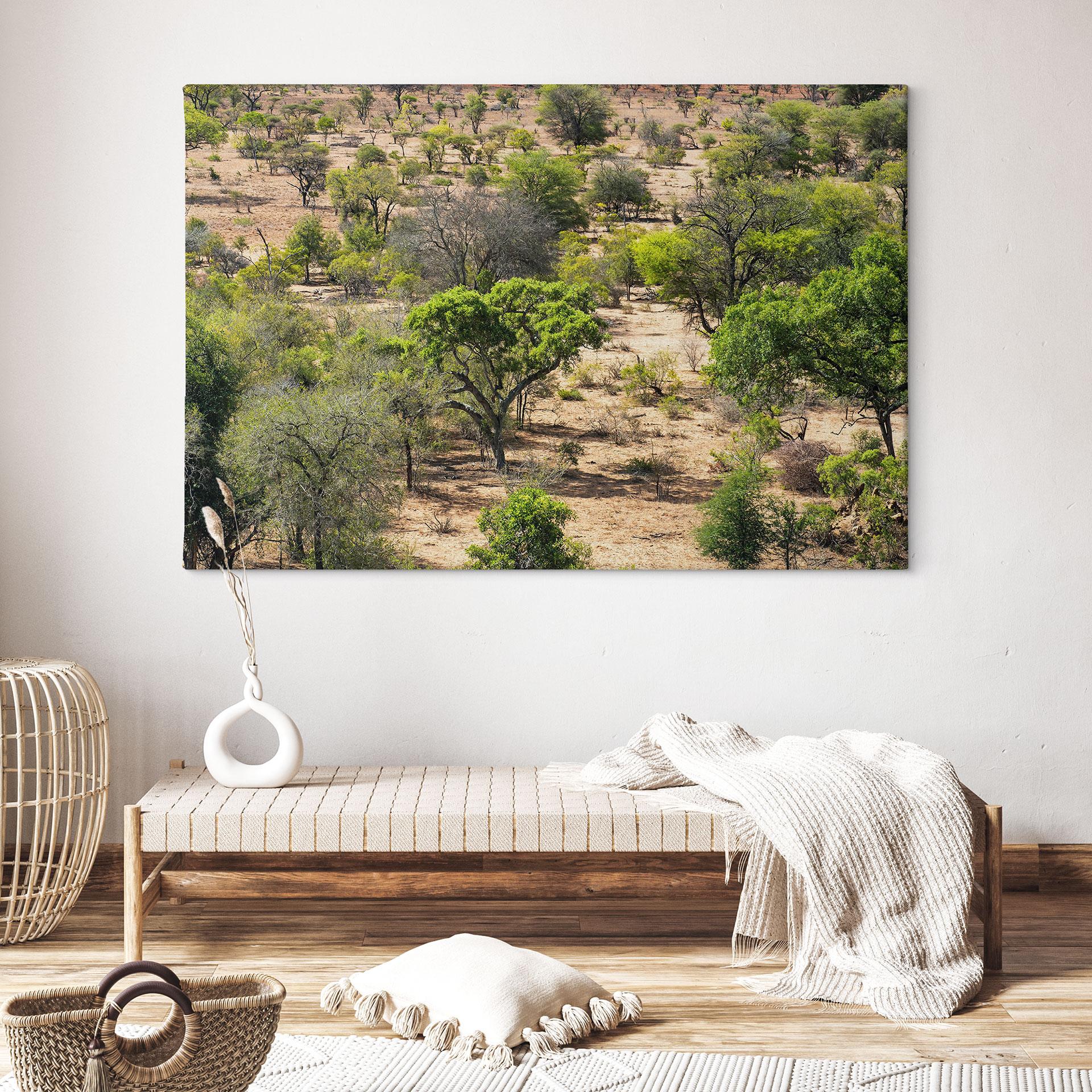 Canvasbillede Savanne-landskab i Afrika - Hugonnard
