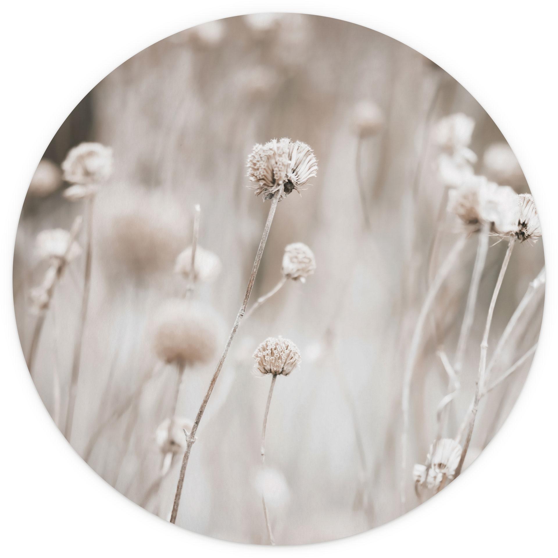 Gedroogde bloemen in zachte tinten Fotobehang - Annie - Rond - vliesbehang/zelfklevend vliesbehang