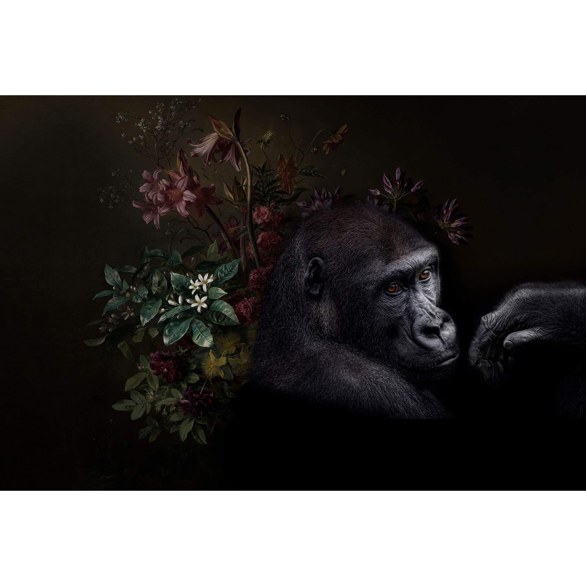Livingwalls Fotobehang Walls by Patel wildlife 3