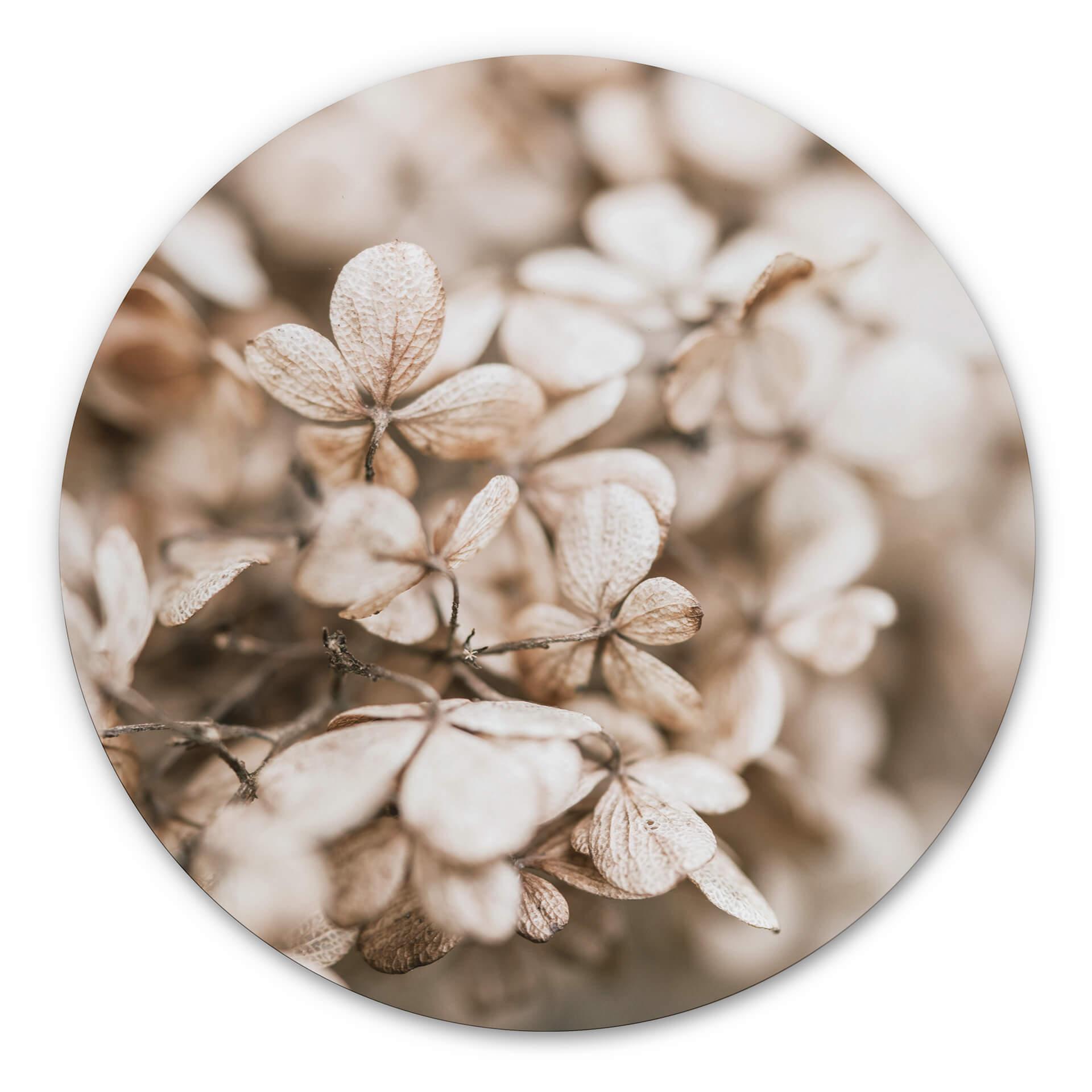 Tableau en Alu-Dibond Annie - Fleurs en velours - Rond
