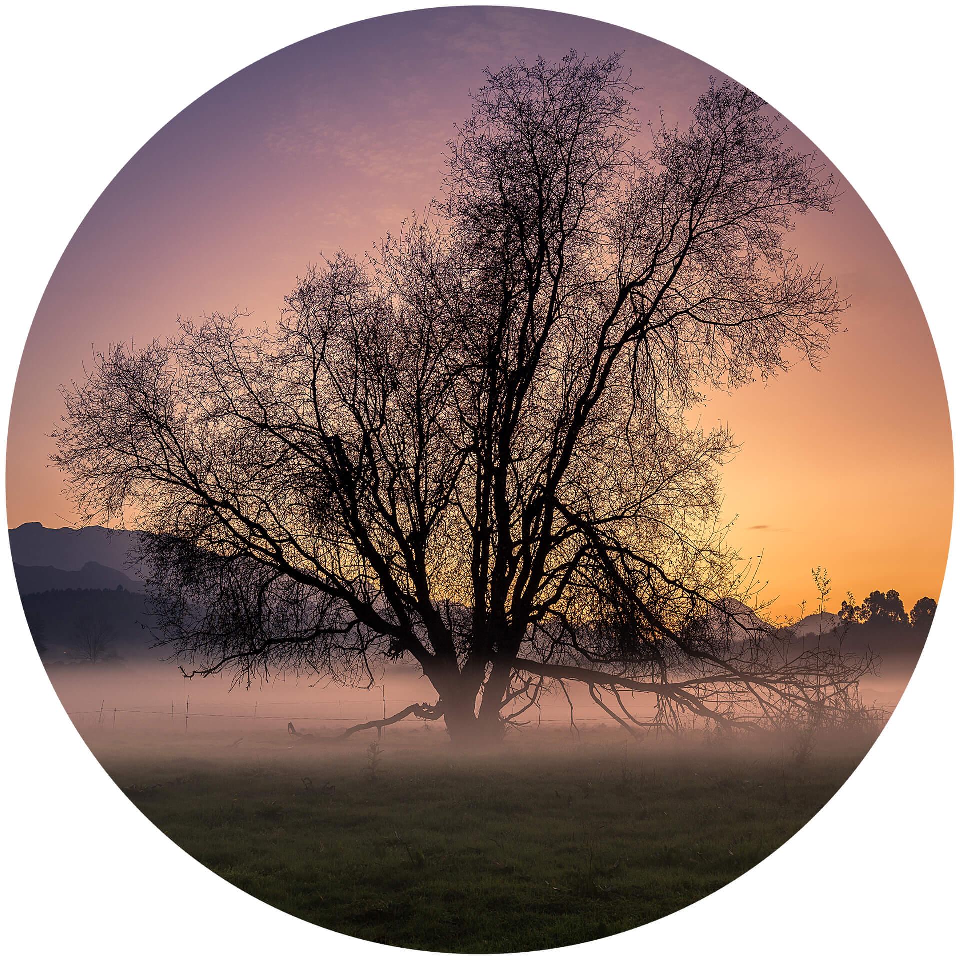 Behangcirkel Cuadrado - The Fog - vliesbehang/zelfklevend vliesbehang