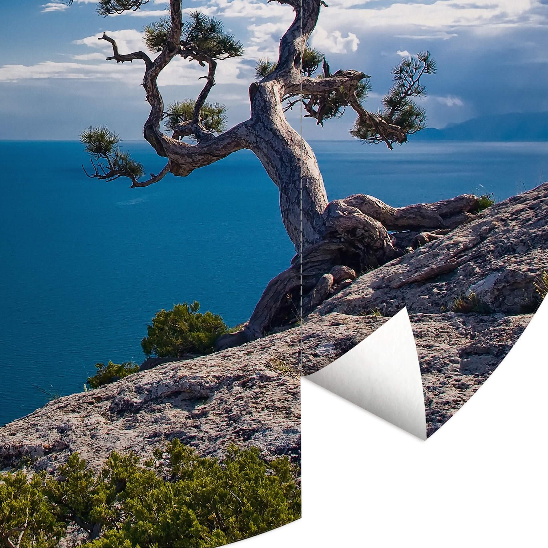 Behangcirkel Sea and Tree - vliesbehang/zelfklevend vliesbehang
