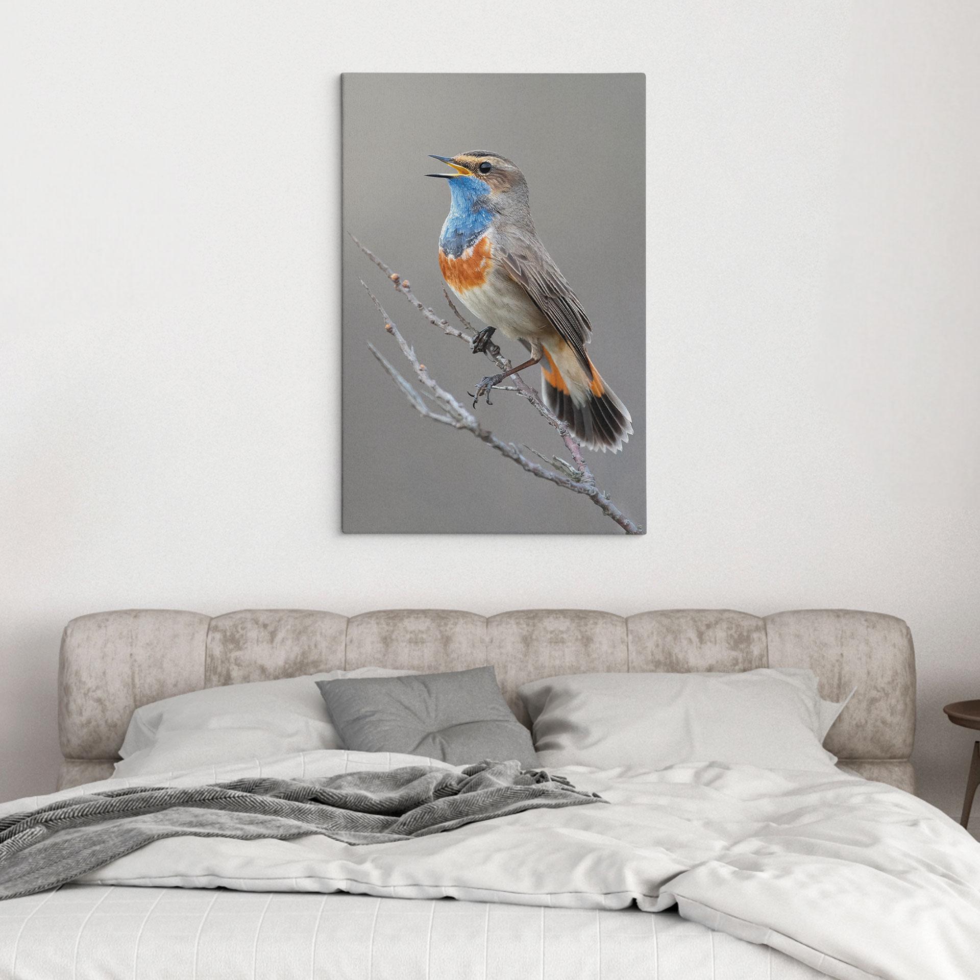 Canvasbillede af syngende blåhals - van Duijn