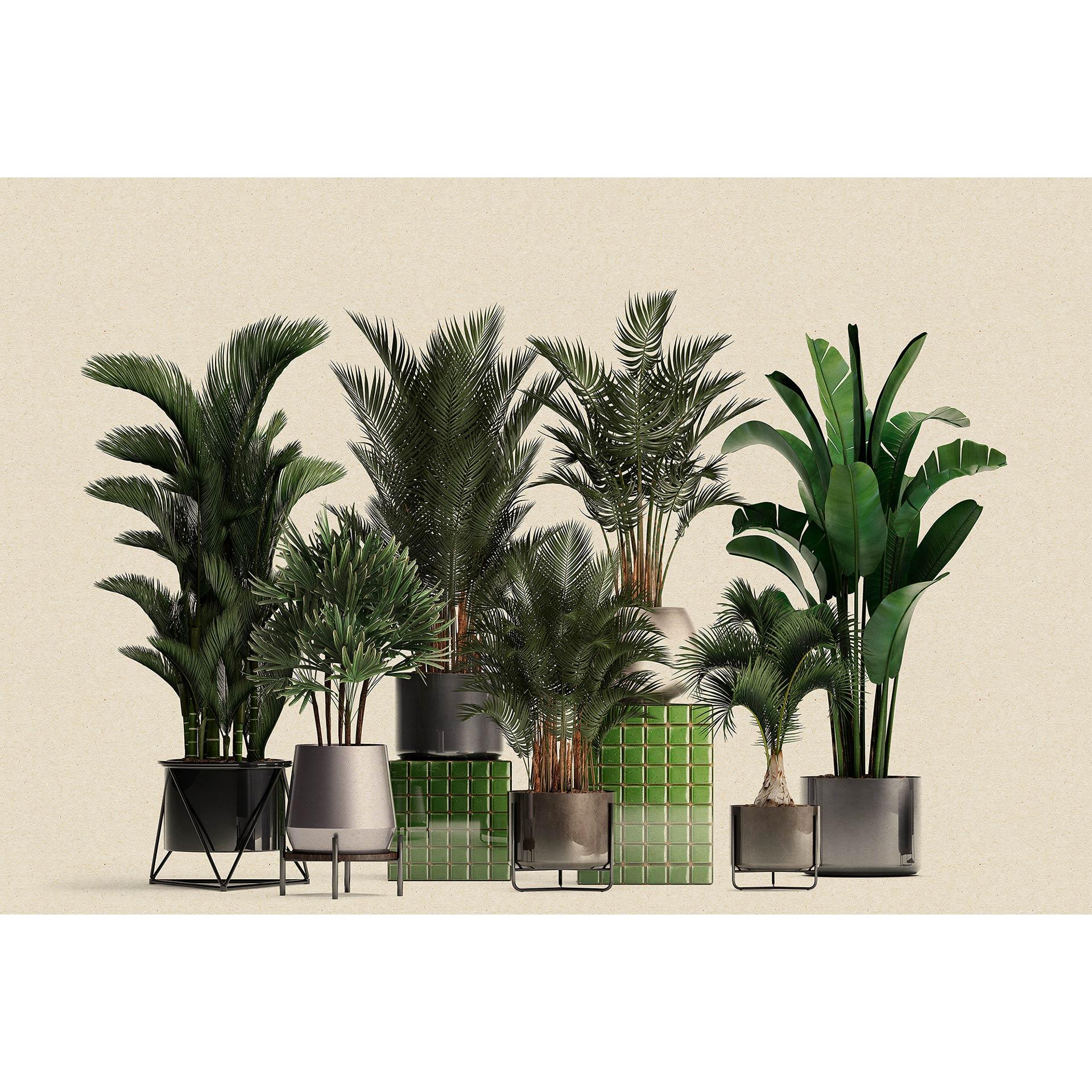 Livingwalls Fotobehang Walls by Patel 3 Plant Shop