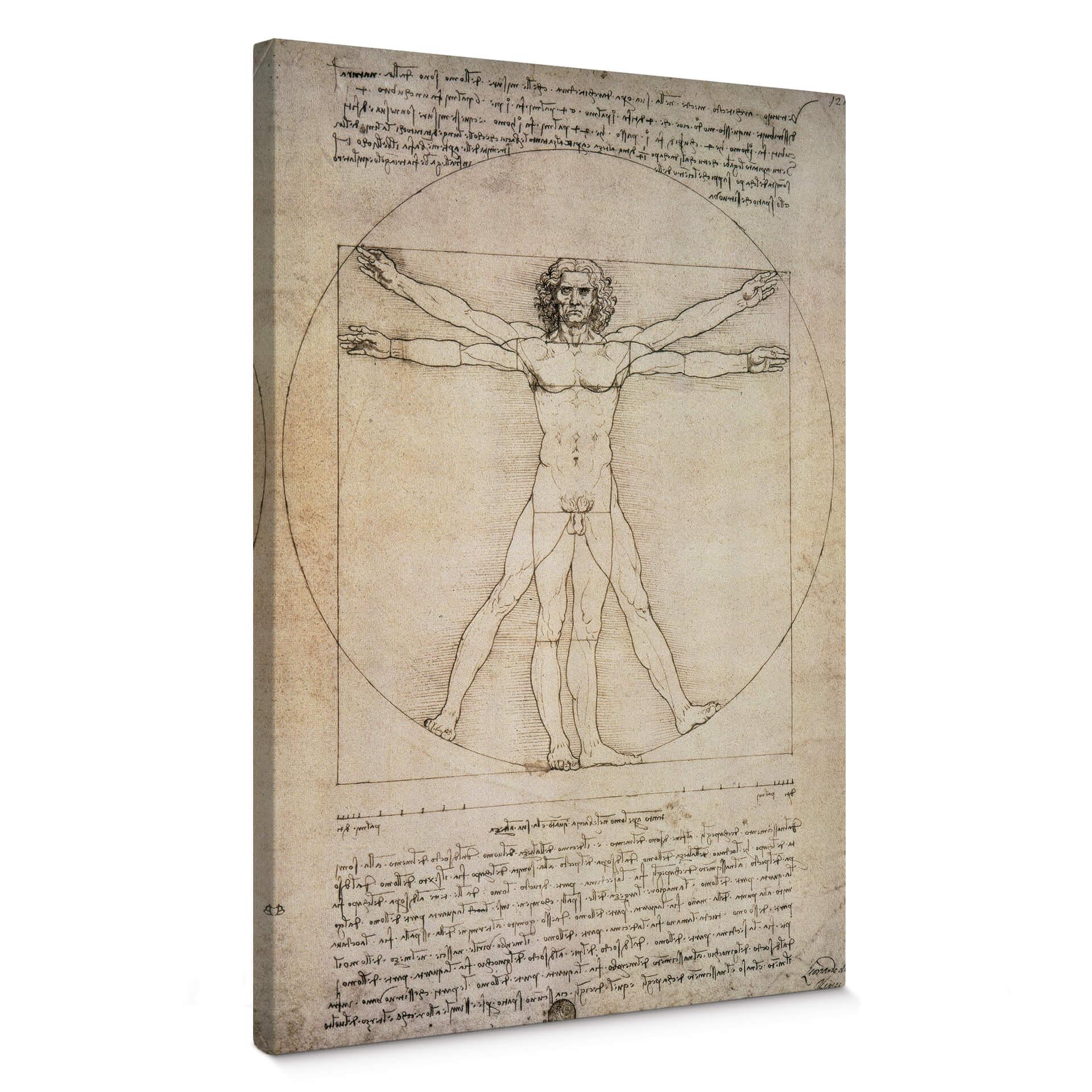 da Vinci - Den Vitruvianske Mand - Lærredsprint