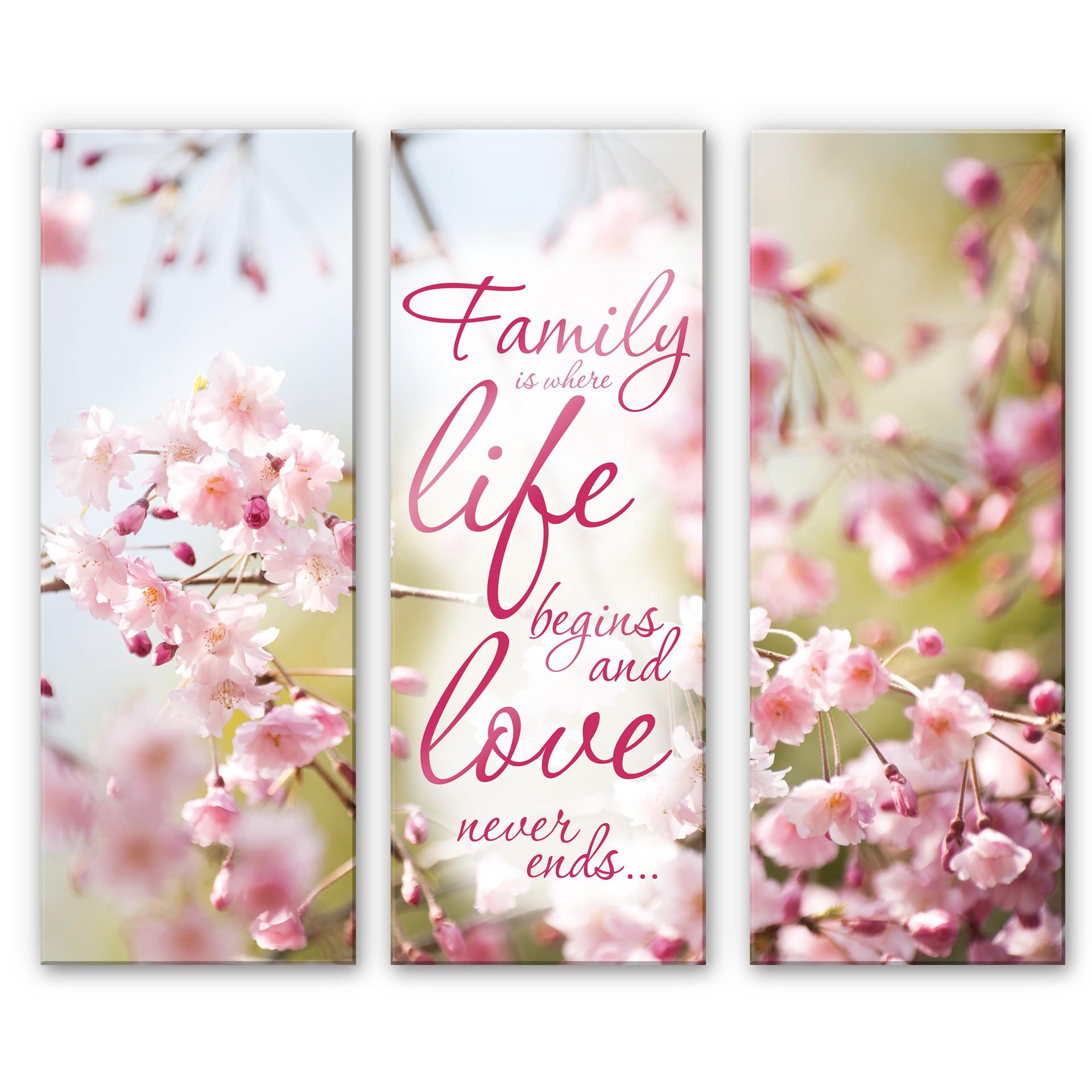 Tableau en verre acrylique - Family is where Life begins (3 parties)