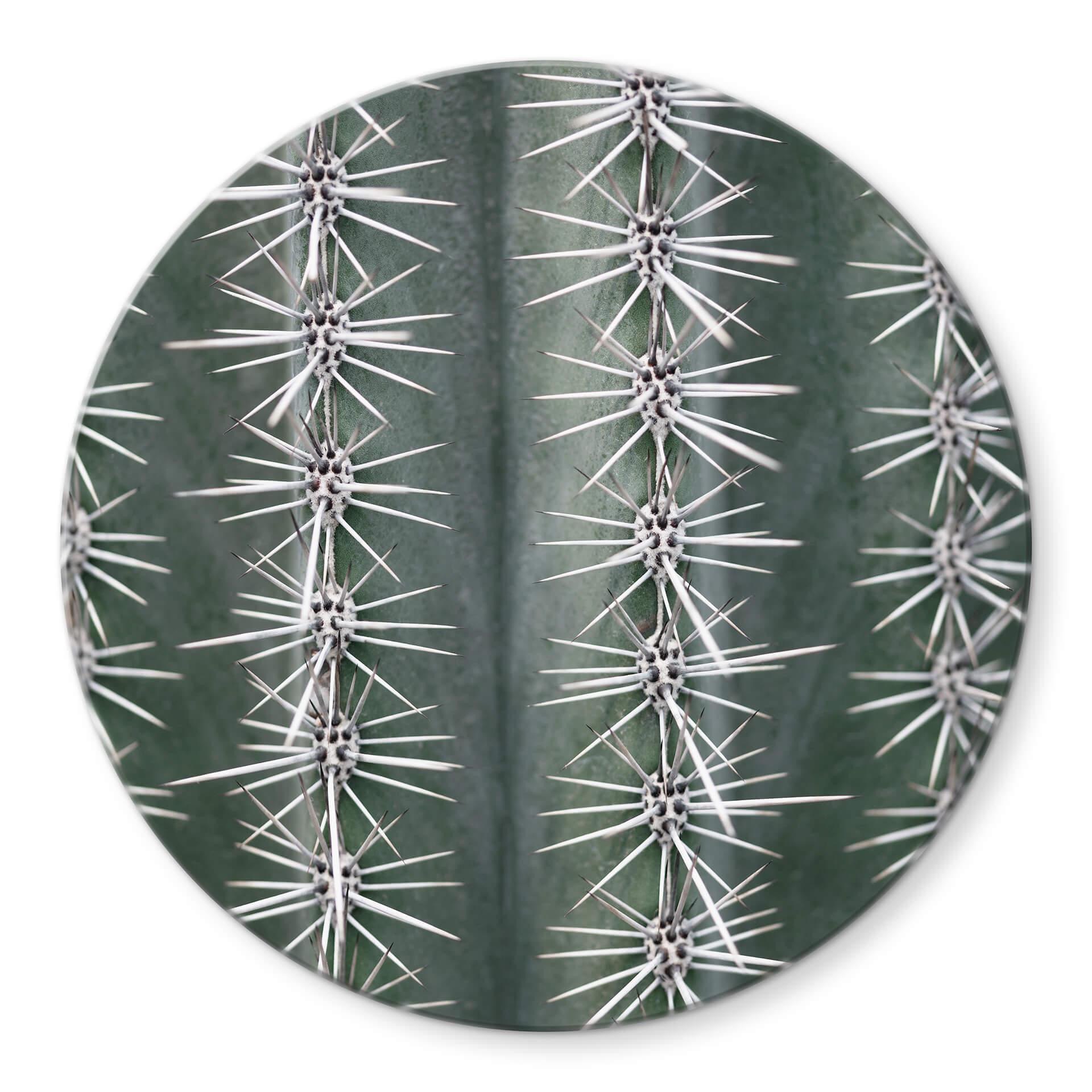 Glasschilderij 1X Studio - Cactus