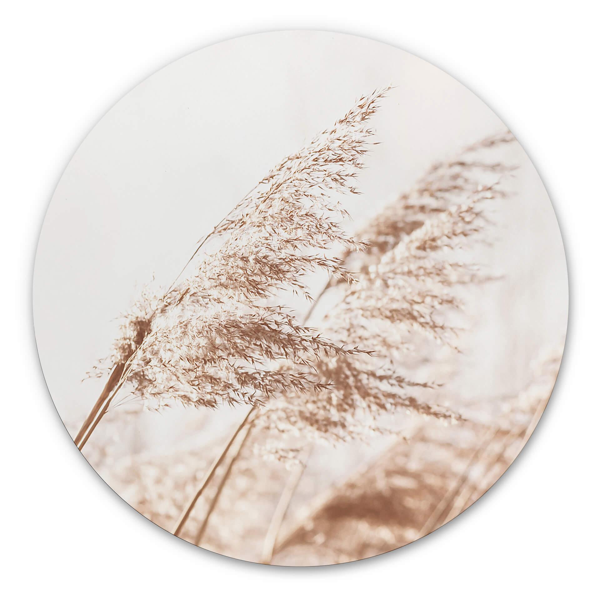 Wandcirkel Windy Grass