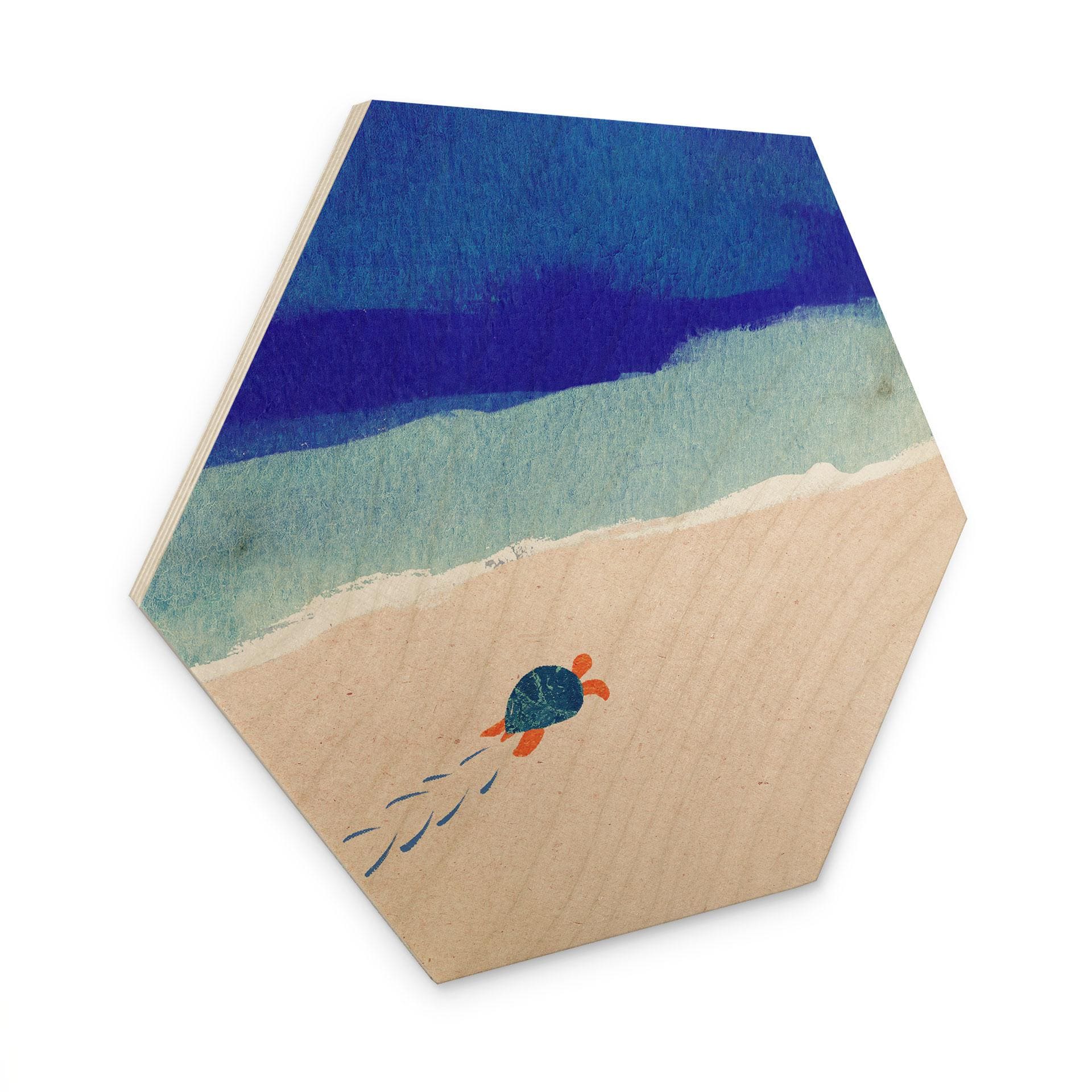 Hexagone Tableau sur bois Petite tortue au bord de la mer - Rivers