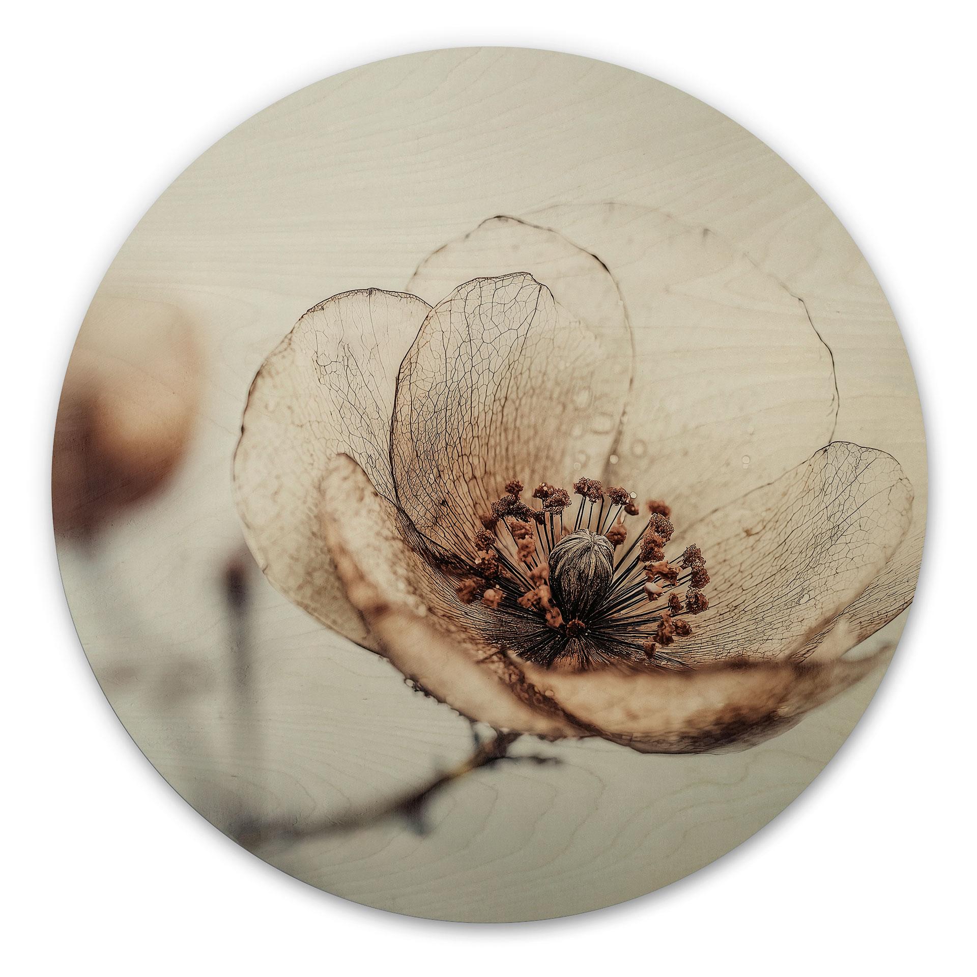 Billede af træ tørrede blomster beige natur poesi - Treechild - Rund