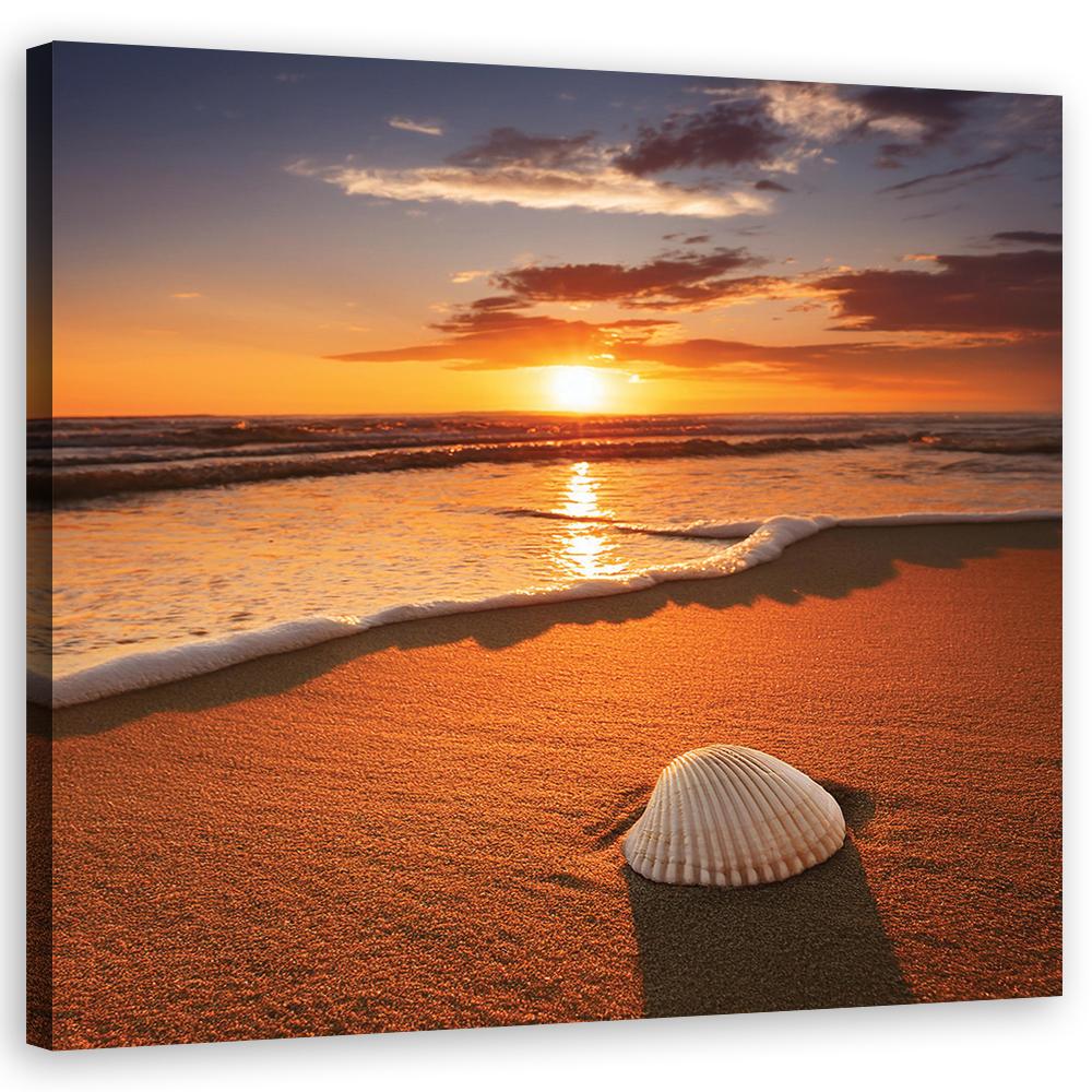 Leinwandbild Muscheln Natur