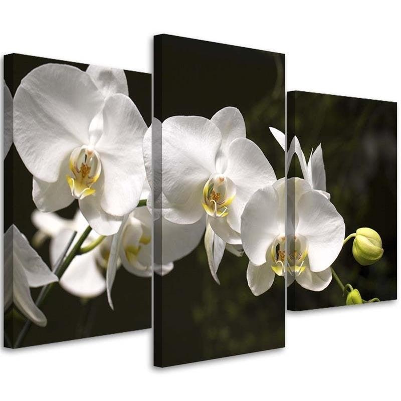 3 stykke lærredsprint Orchid Flowers Nature White
