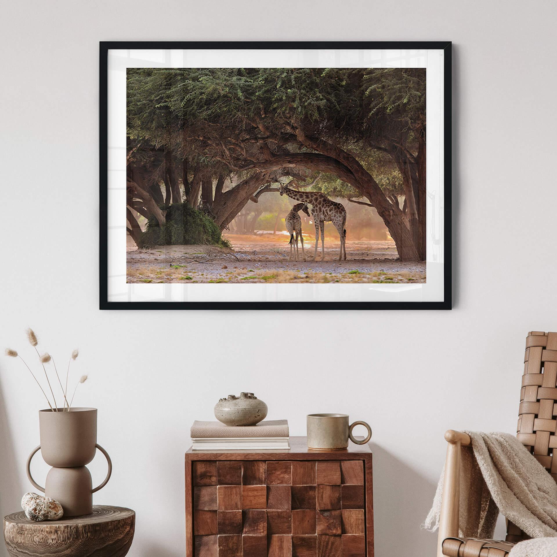Poster D'Amico - Zwei Giraffen in Namibias Savanne