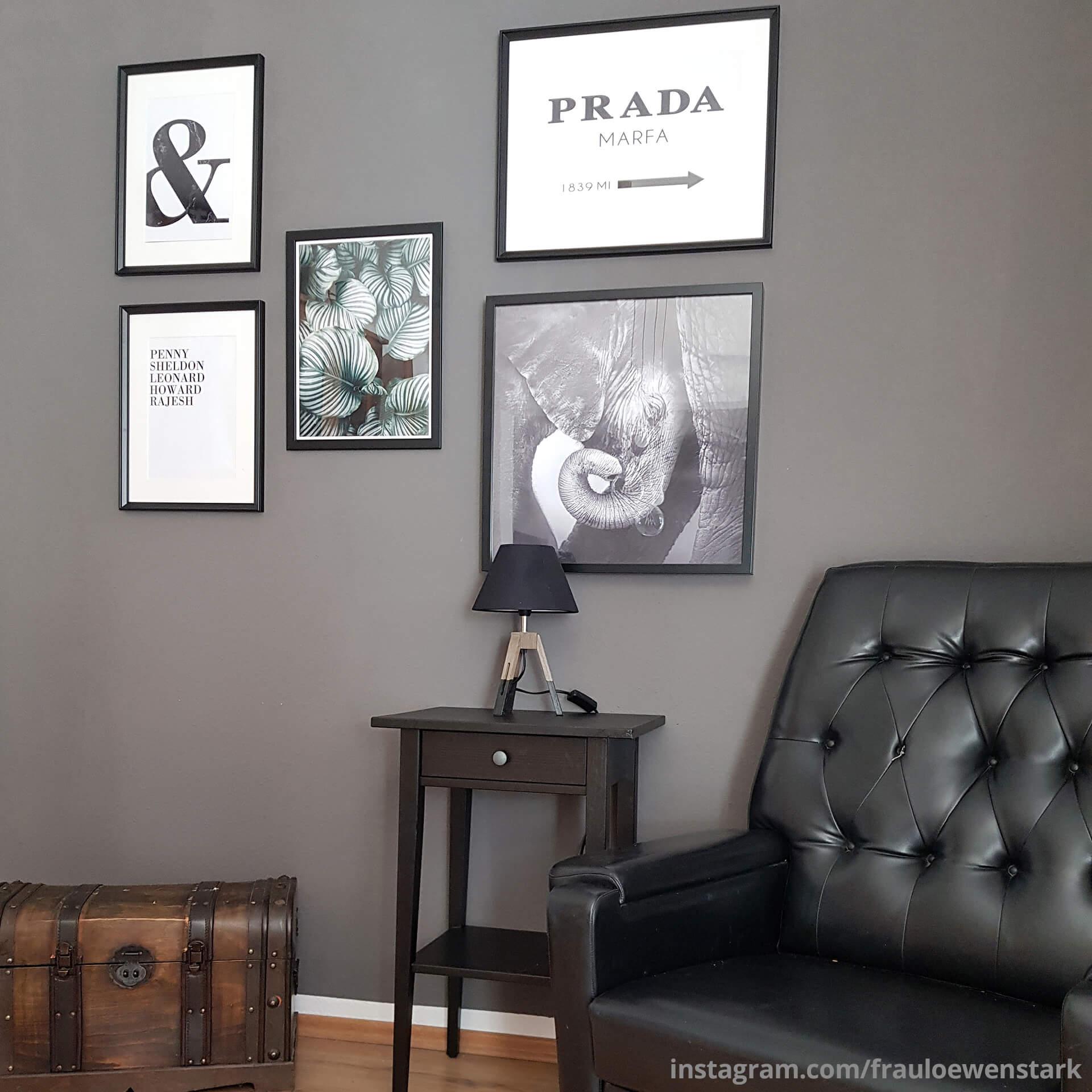 Poster - Urban Jungle - Calathea Orbifolia