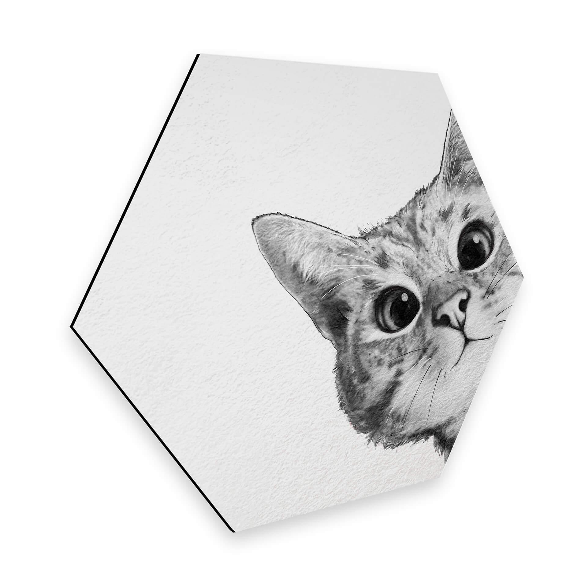 Hexagon - Alu-Dibond Graves - Sneaky Cat