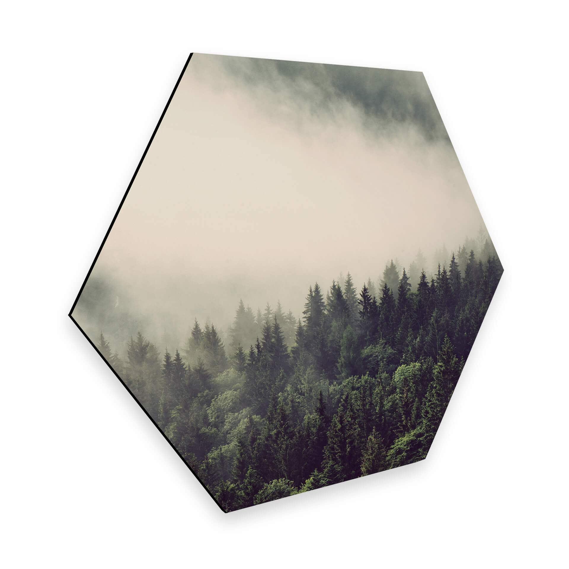 Hexagon Dibond Nevel in het Bos 02
