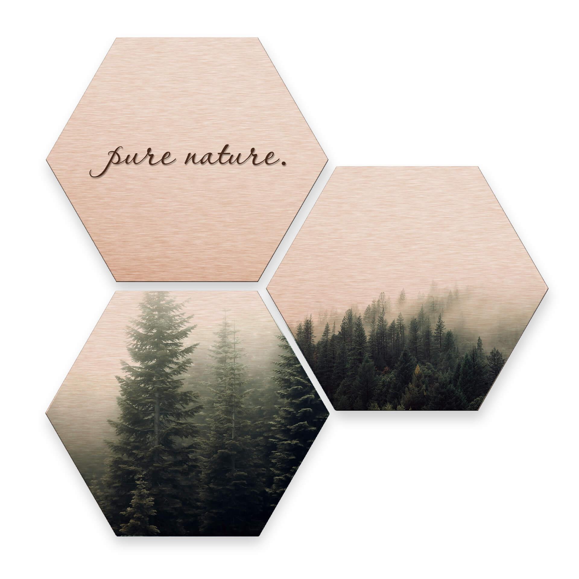 Hexagon alu-dibond koper effect - Pure Nature