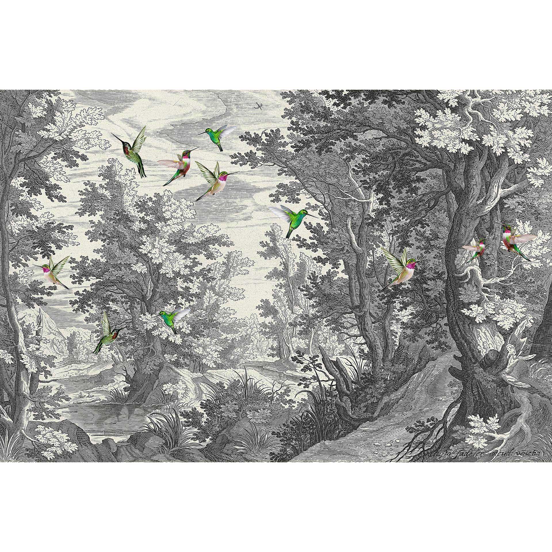 Livingwalls Fotobehang Walls by Patel 3 Fancy Forest