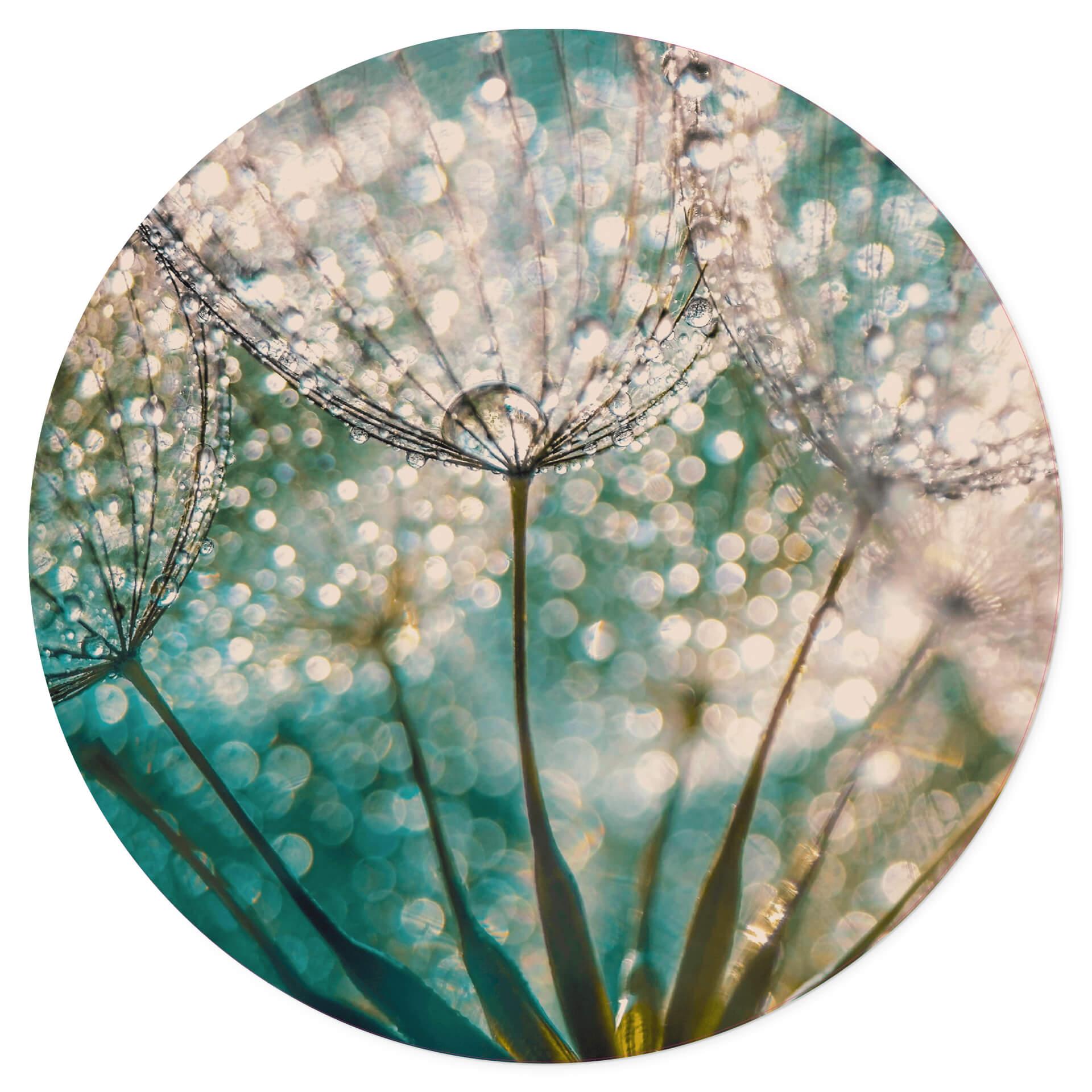 Muursticker rond Delgado - Dandelions