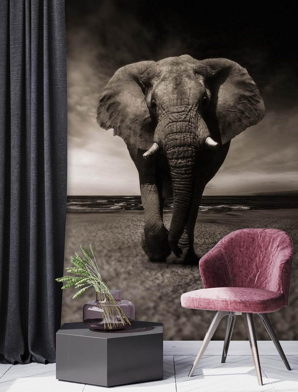 Fototapete, Elefant Tier Afrika