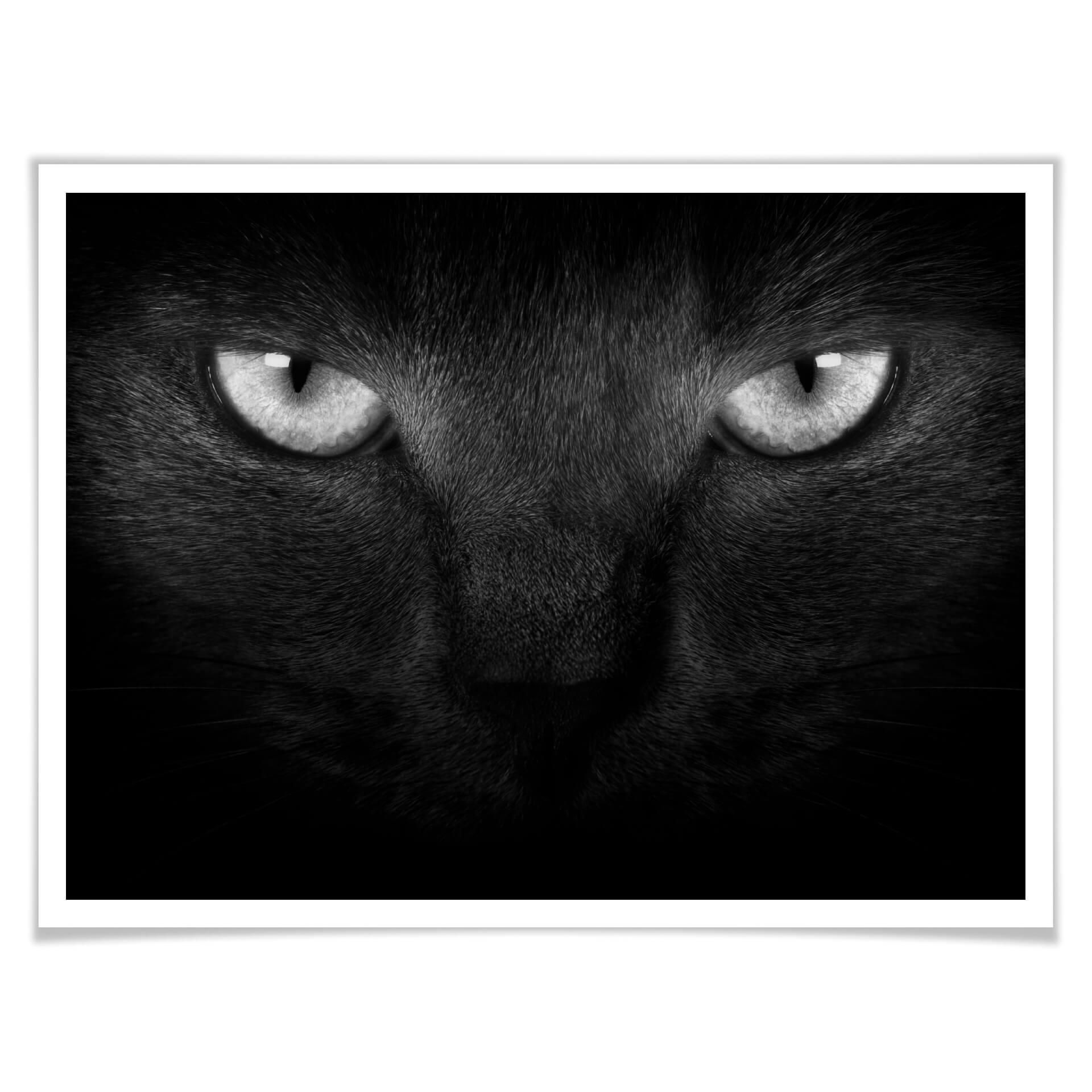 Póster ojos de gato - blanco/negro