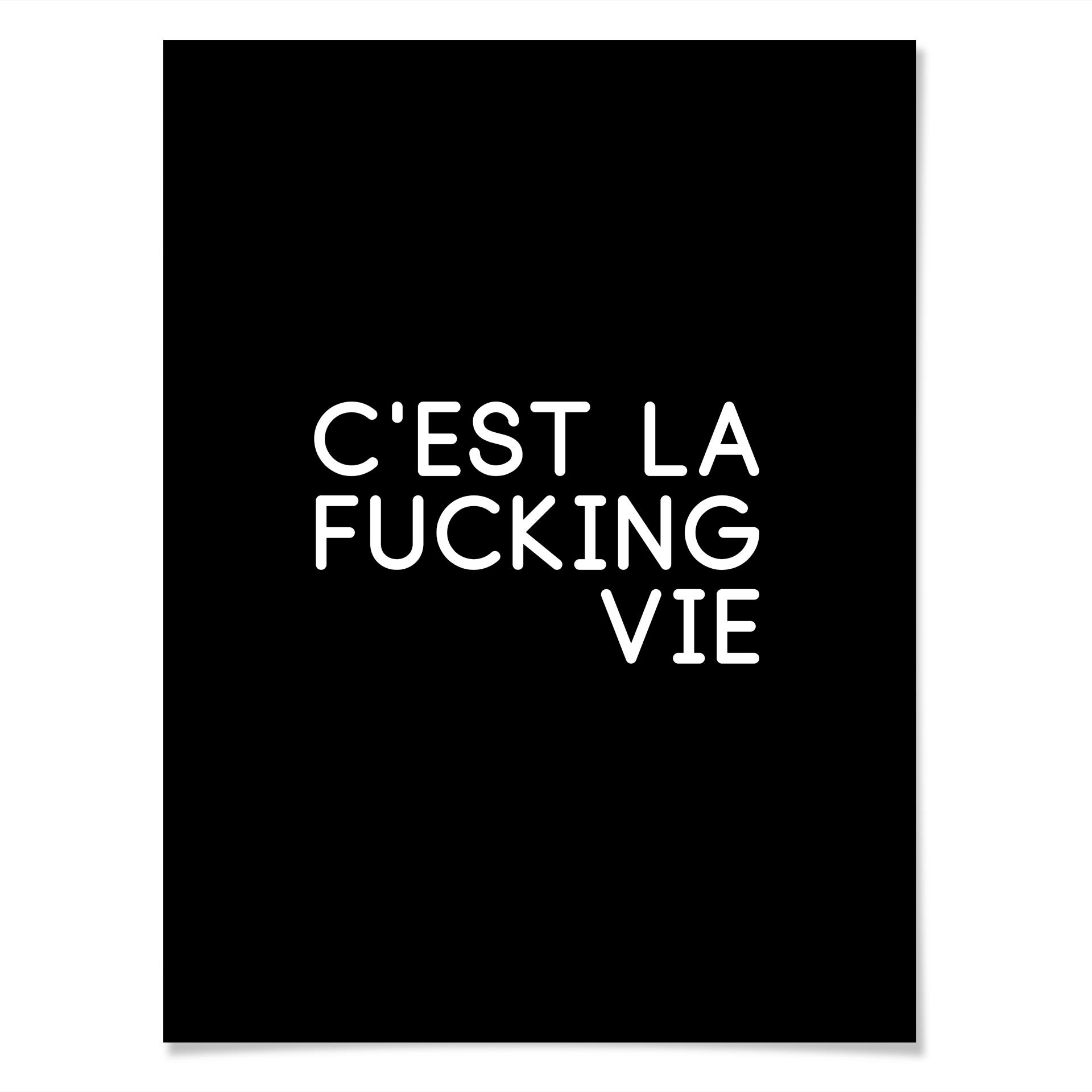 Plakat C'est la fucking vie