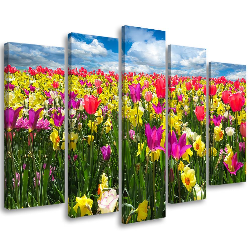5 stykke lærredsprint farverige tulipaner blomster