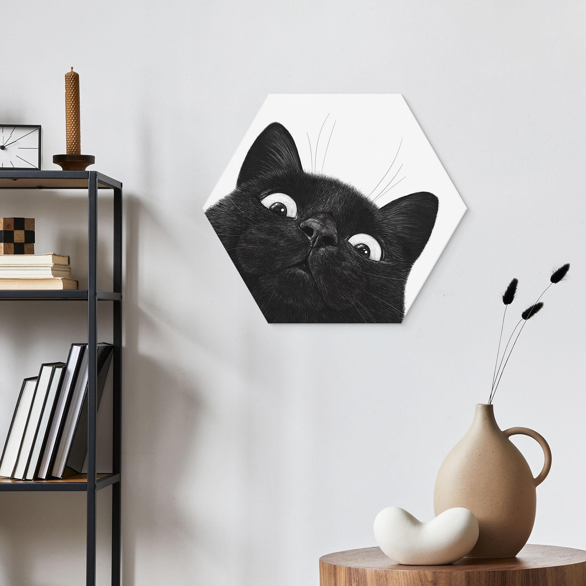 Hexagon wanddecoratie Grappige zwarte kat - Korenkova - Alu-Dibond