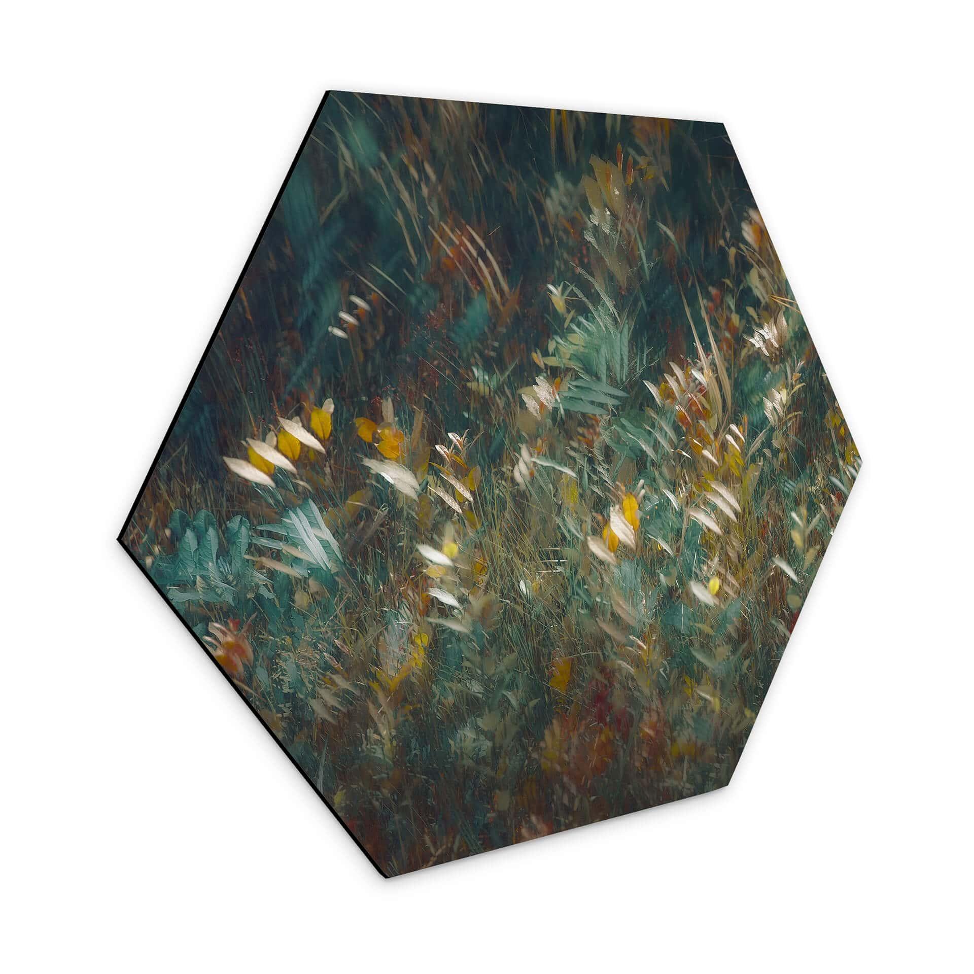 Hexagone - Tableau sur alu-Dibond Talen - Fin de l'été