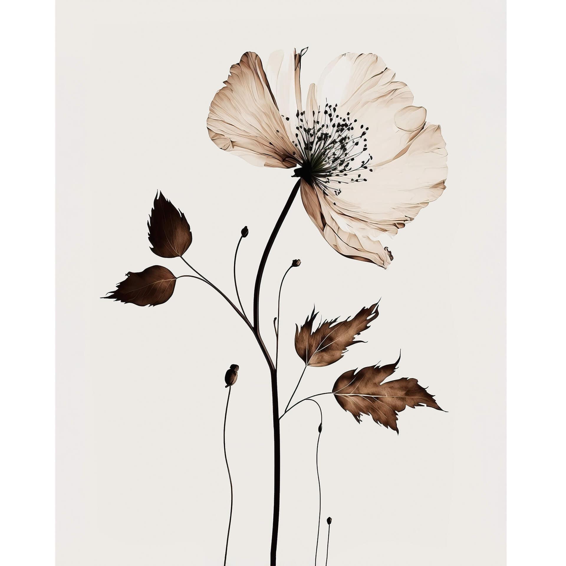 Fototapete Trockenblüte in Creme - Blumentapete - Treechild