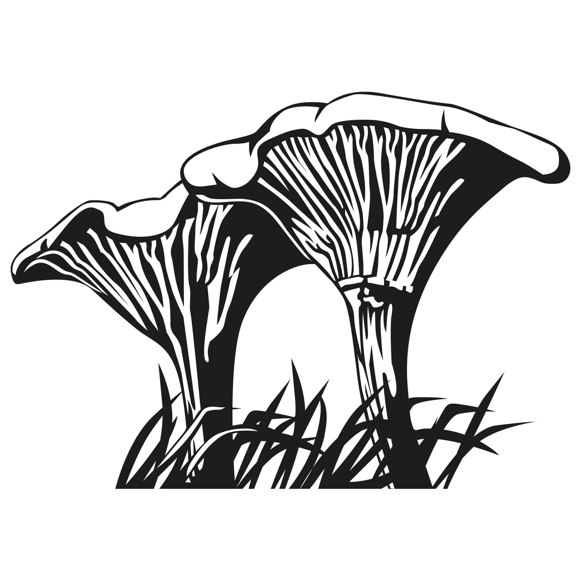 Muursticker Paddestoelen