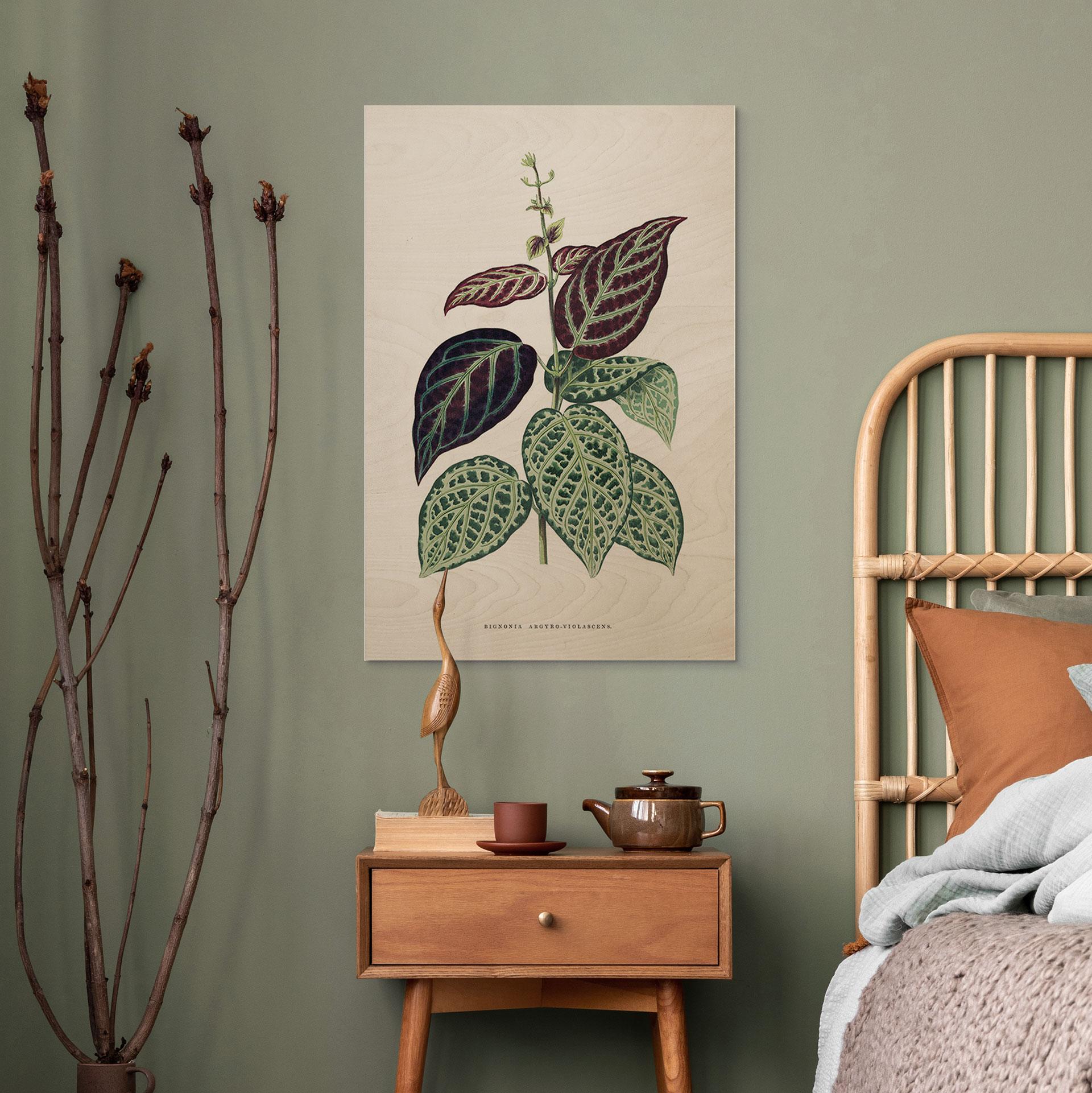 Træplakat Illustration af blade - Bignonia Argyro Violascea