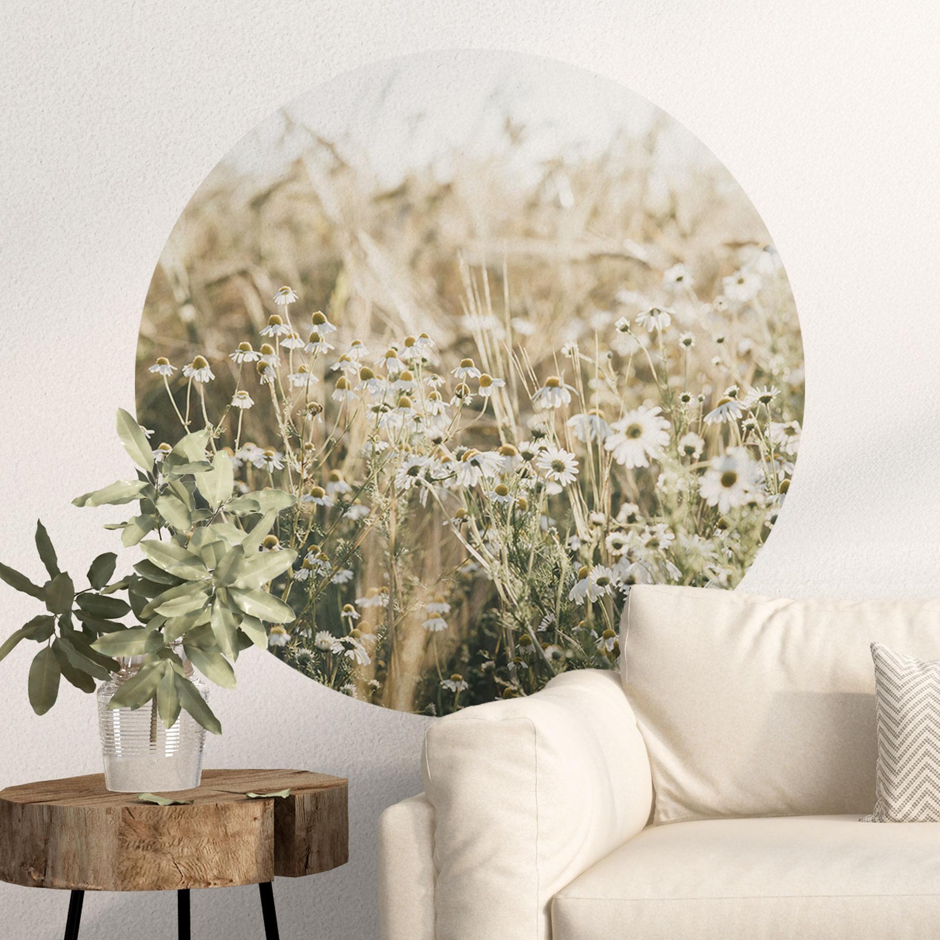 Wallsticker sommereng med kamille - Annie - Round