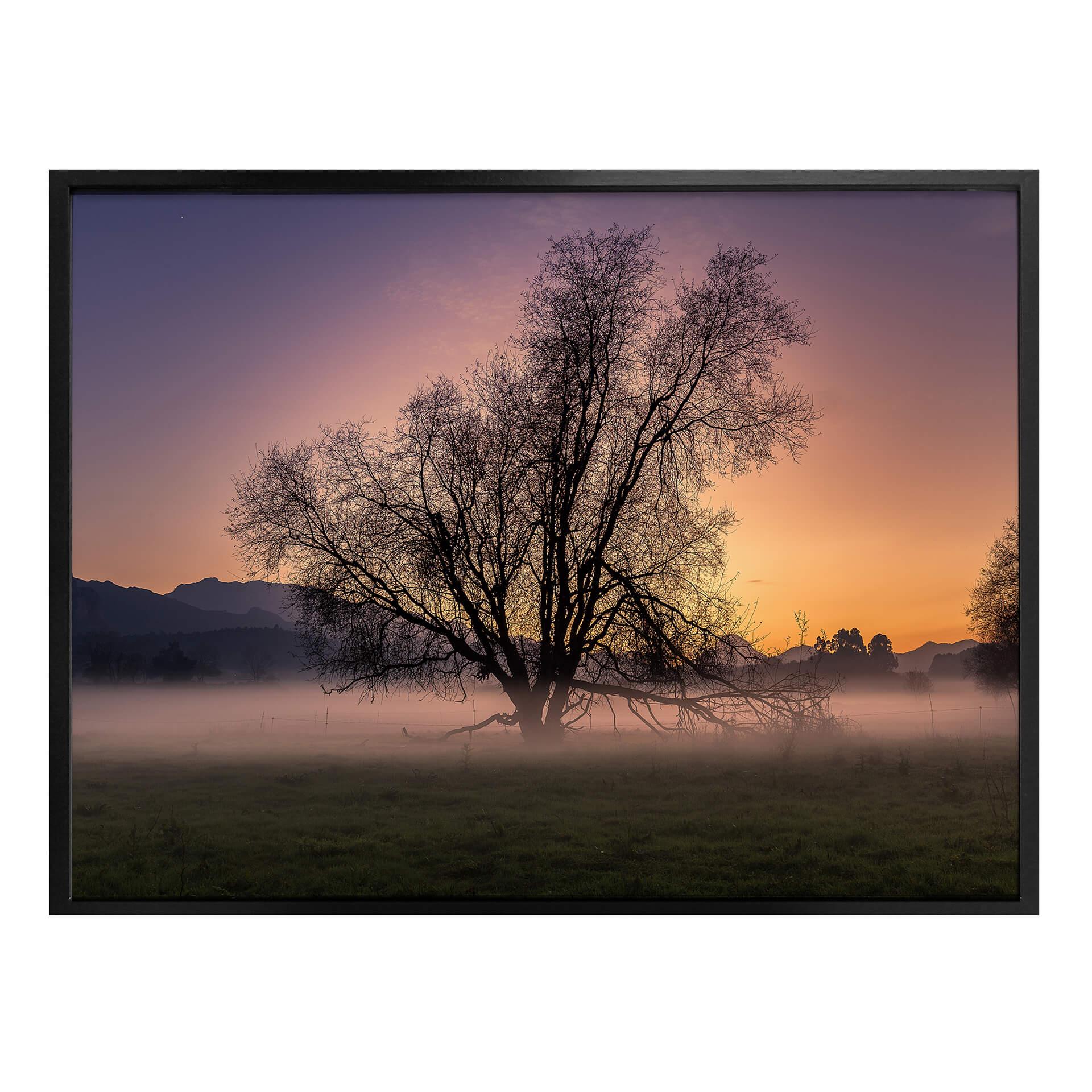 Plakat - Cuadrado - The Fog