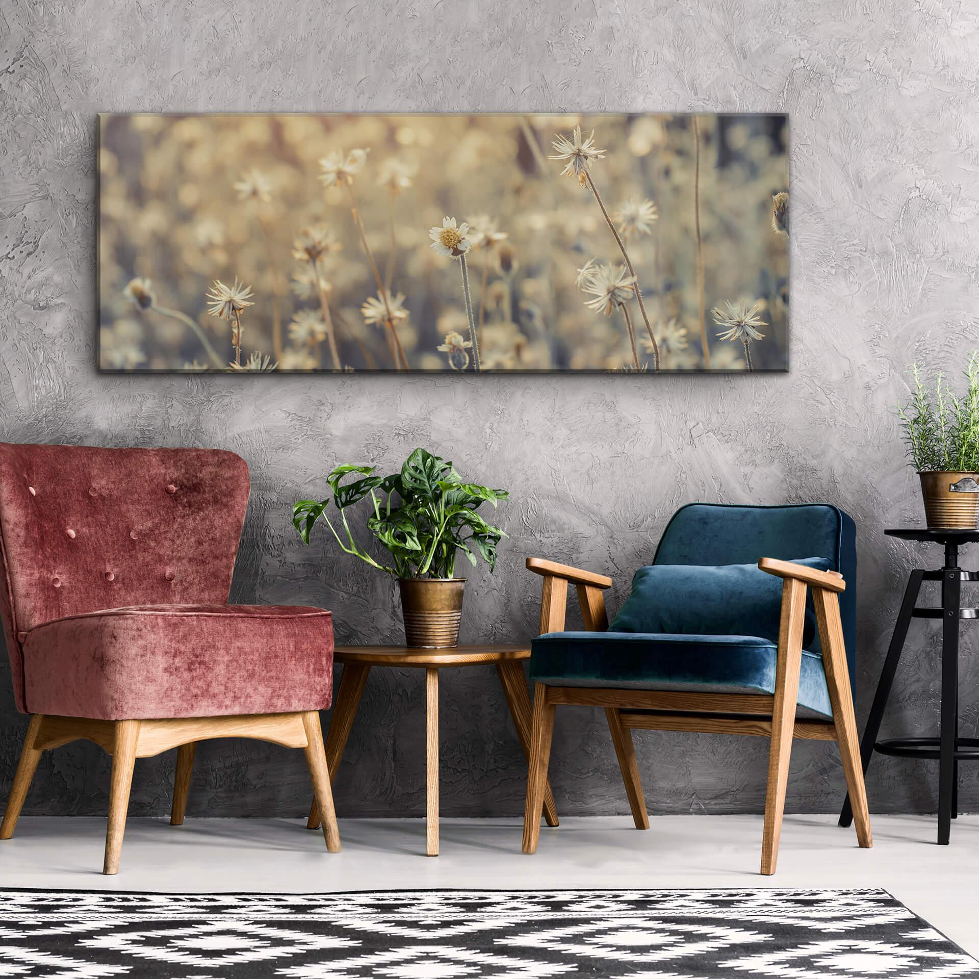 Acrylglas Mexican Daisy - Panorama
