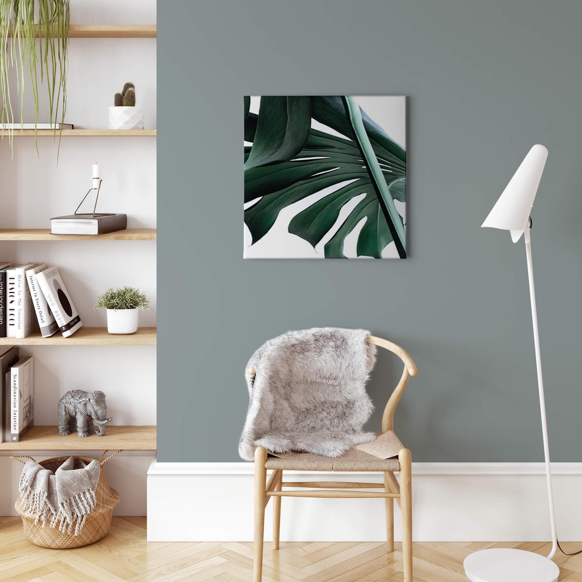 Lienzo Jungla Urbana 02 - Monstera Deliciosa - Cuadrado